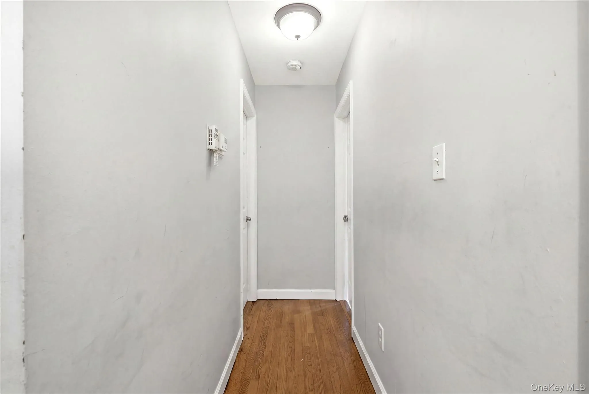 11 Tern Court, Islip, NY, 5 Bedrooms Bedrooms, 10 Rooms Rooms,3 BathroomsBathrooms,Residential,For Rent,Tern,0,1021617 11 Tern Court, Islip, NY, 5 Bedrooms Bedrooms, 10 Rooms Rooms,3 BathroomsBathrooms,Residential,For Rent,Tern,0,1021617