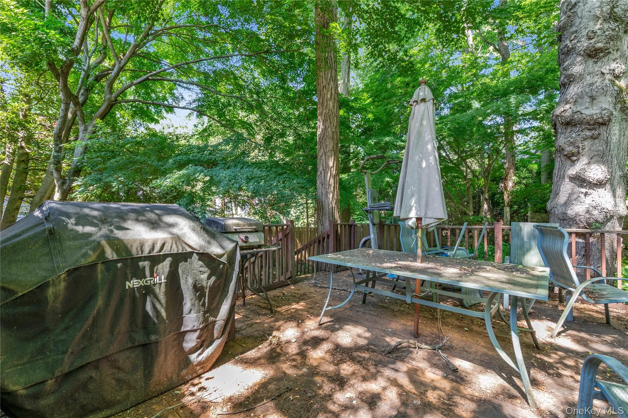 21 Laurel Avenue, Oyster Bay, NY, 3 Bedrooms Bedrooms, 5 Rooms Rooms,2 BathroomsBathrooms,Residential,For Rent,Laurel,0,1021621 21 Laurel Avenue, Oyster Bay, NY, 3 Bedrooms Bedrooms, 5 Rooms Rooms,2 BathroomsBathrooms,Residential,For Rent,Laurel,0,1021621
