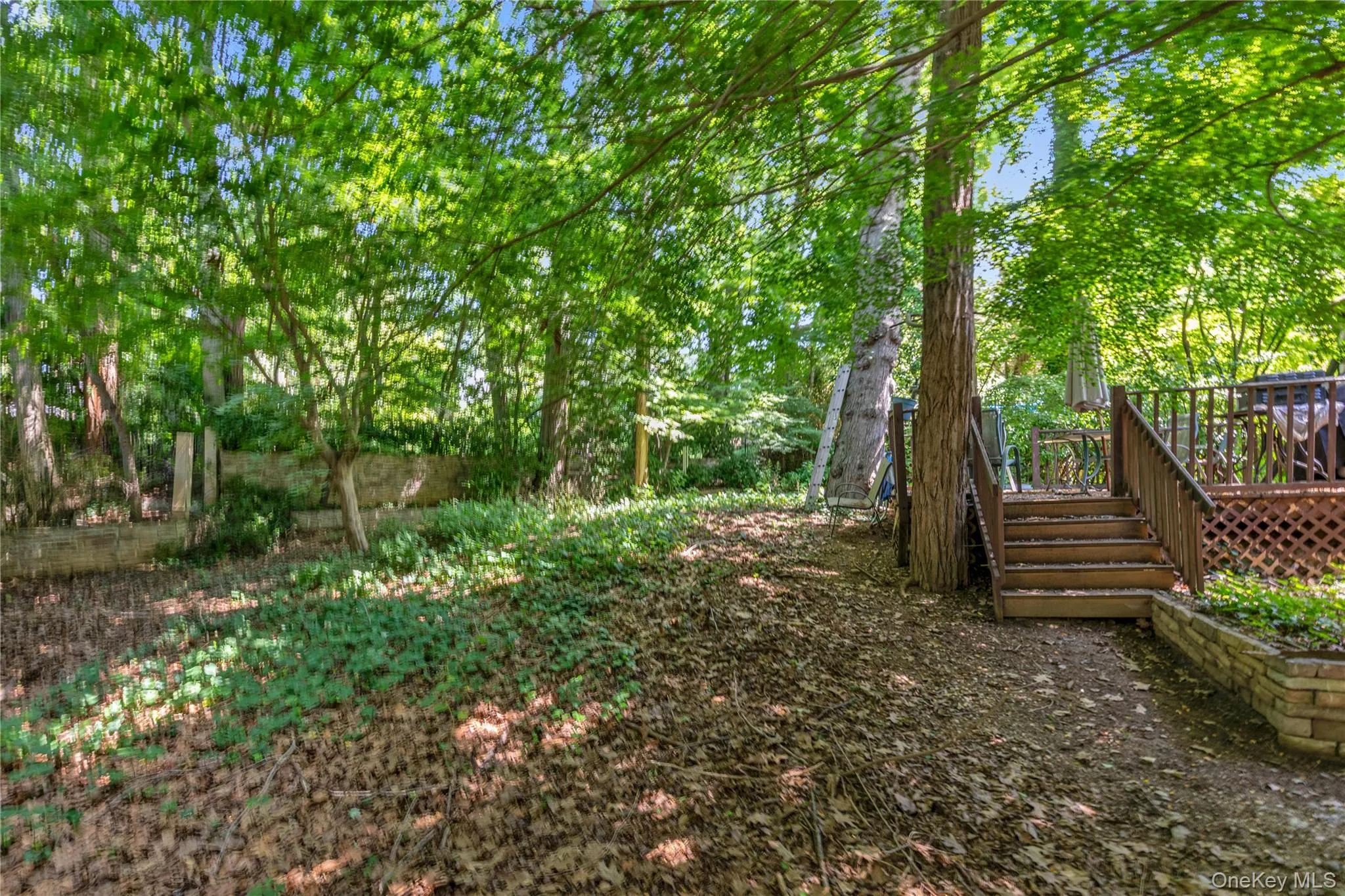 21 Laurel Avenue, Oyster Bay, NY, 3 Bedrooms Bedrooms, 5 Rooms Rooms,2 BathroomsBathrooms,Residential,For Rent,Laurel,0,1021621 21 Laurel Avenue, Oyster Bay, NY, 3 Bedrooms Bedrooms, 5 Rooms Rooms,2 BathroomsBathrooms,Residential,For Rent,Laurel,0,1021621