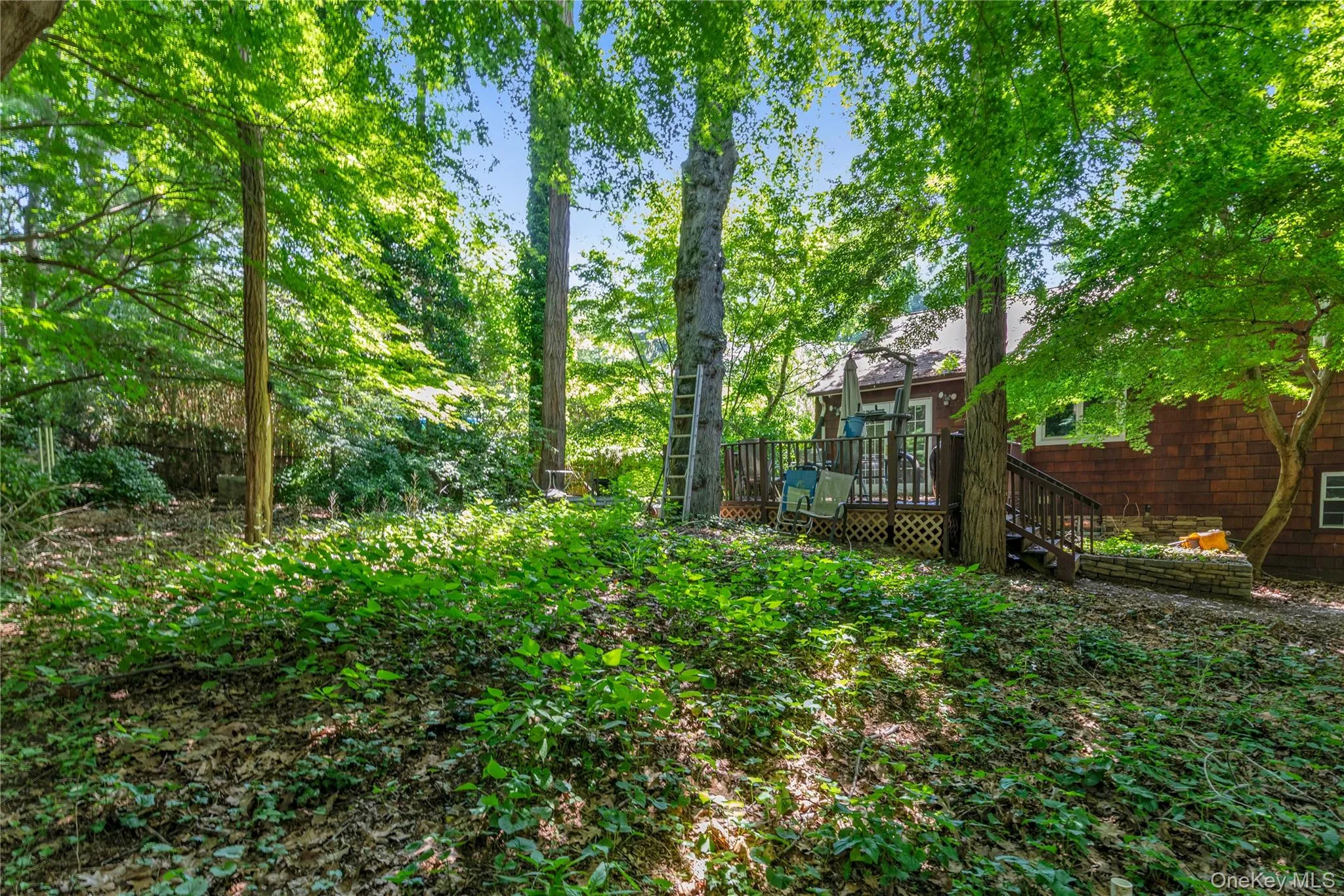 21 Laurel Avenue, Oyster Bay, NY, 3 Bedrooms Bedrooms, 5 Rooms Rooms,2 BathroomsBathrooms,Residential,For Rent,Laurel,0,1021621 21 Laurel Avenue, Oyster Bay, NY, 3 Bedrooms Bedrooms, 5 Rooms Rooms,2 BathroomsBathrooms,Residential,For Rent,Laurel,0,1021621