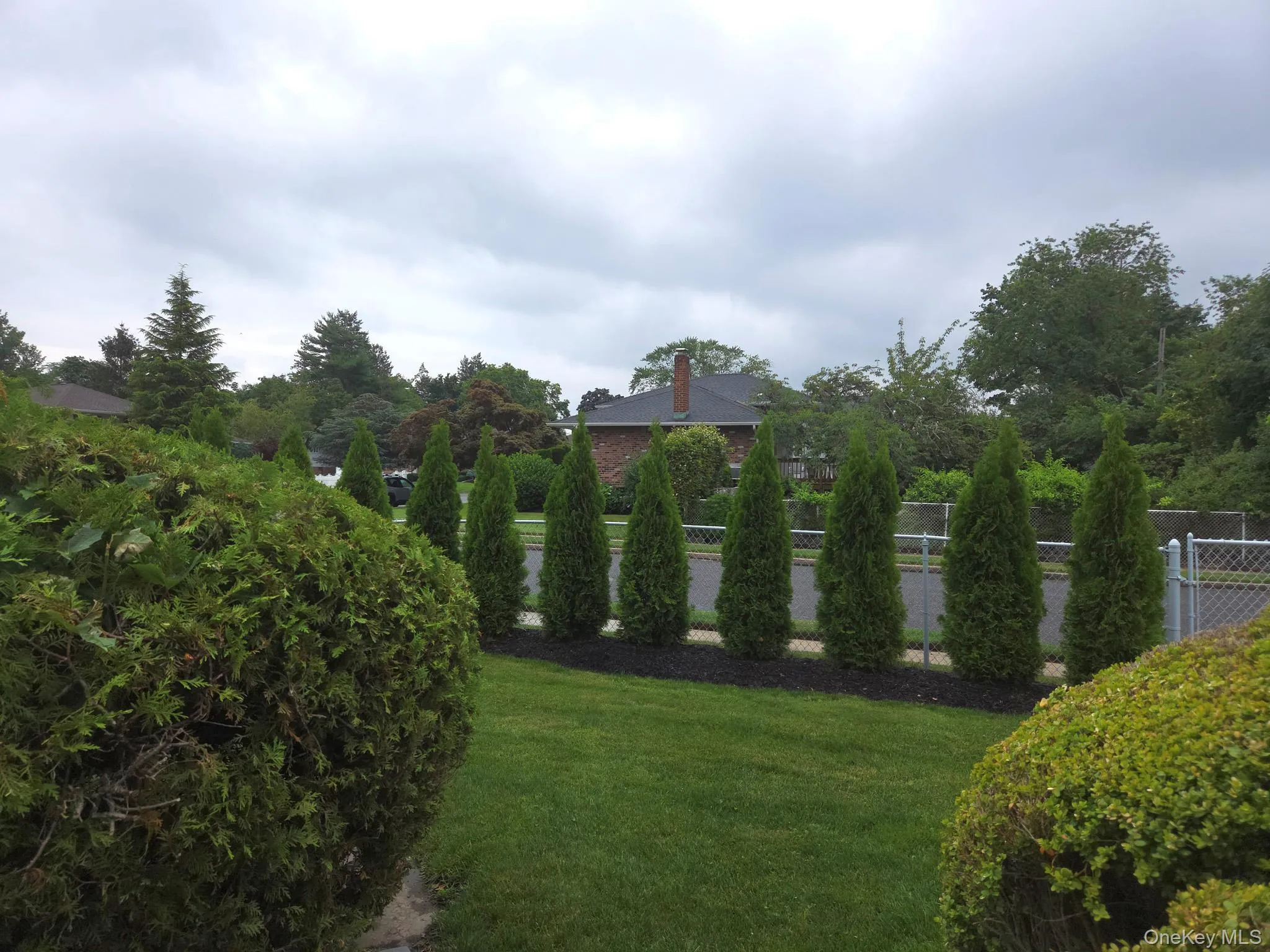 Manicured side with mature shrubs and Evergreen Arborvitae Manicured side with mature shrubs and Evergreen Arborvitae