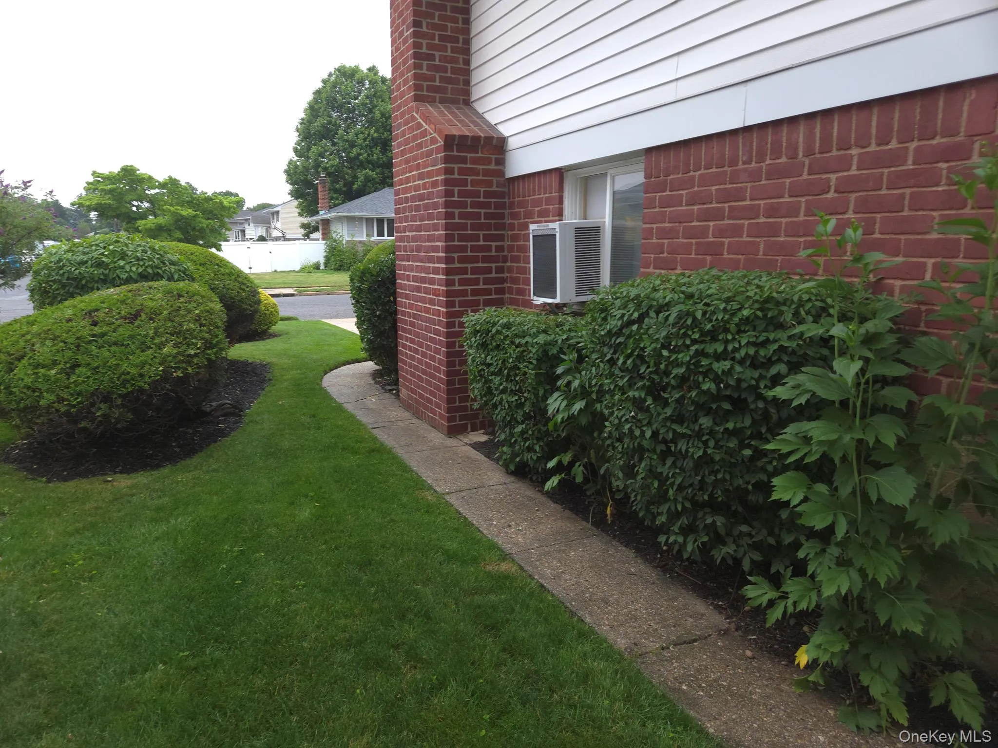Manicured side with mature shrubs Manicured side with mature shrubs