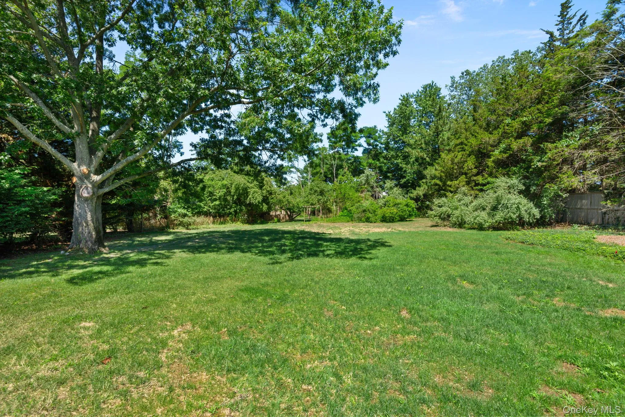Backyard Backyard