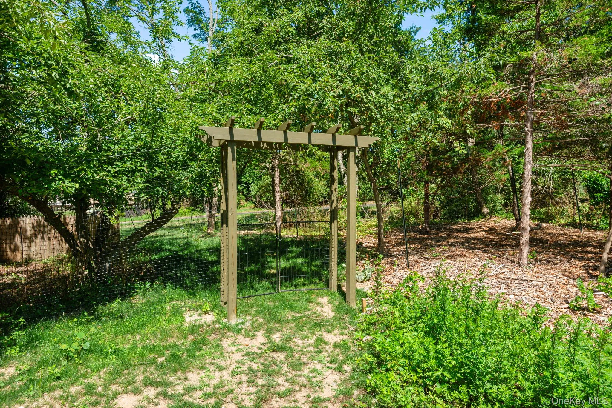 Fencing in backyard Fencing in backyard