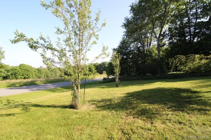 545 Stump Pond Road, Callicoon, NY, 3 Bedrooms Bedrooms, 9 Rooms Rooms,2 BathroomsBathrooms,Residential,For Rent,Stump Pond,0,1021673 545 Stump Pond Road, Callicoon, NY, 3 Bedrooms Bedrooms, 9 Rooms Rooms,2 BathroomsBathrooms,Residential,For Rent,Stump Pond,0,1021673