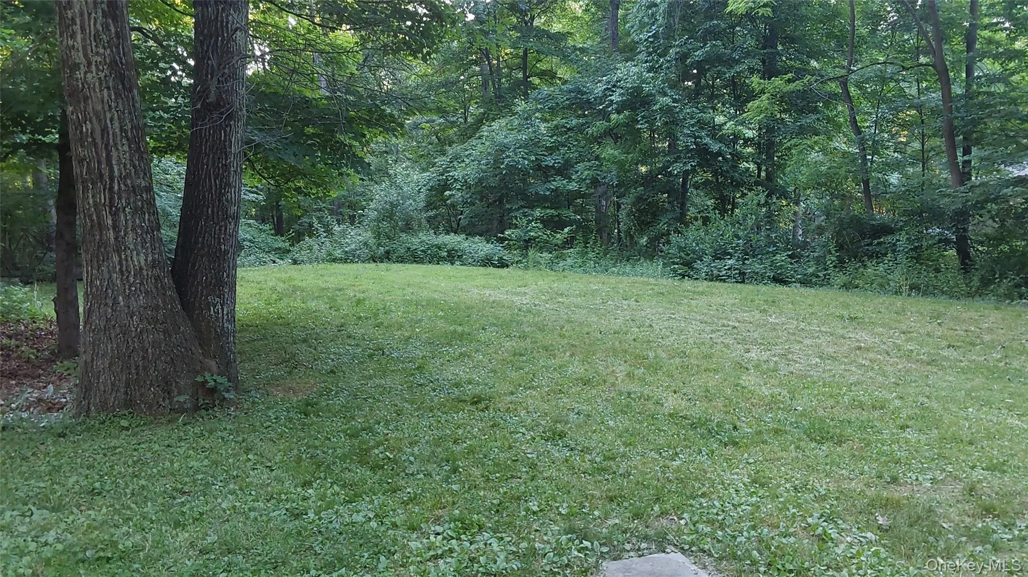 39 Country Pond Lane, Plattekill, NY, 3 Bedrooms Bedrooms, 6 Rooms Rooms,1 BathroomBathrooms,Residential Lease,For Rent,Country Pond,0,1021676 39 Country Pond Lane, Plattekill, NY, 3 Bedrooms Bedrooms, 6 Rooms Rooms,1 BathroomBathrooms,Residential Lease,For Rent,Country Pond,0,1021676