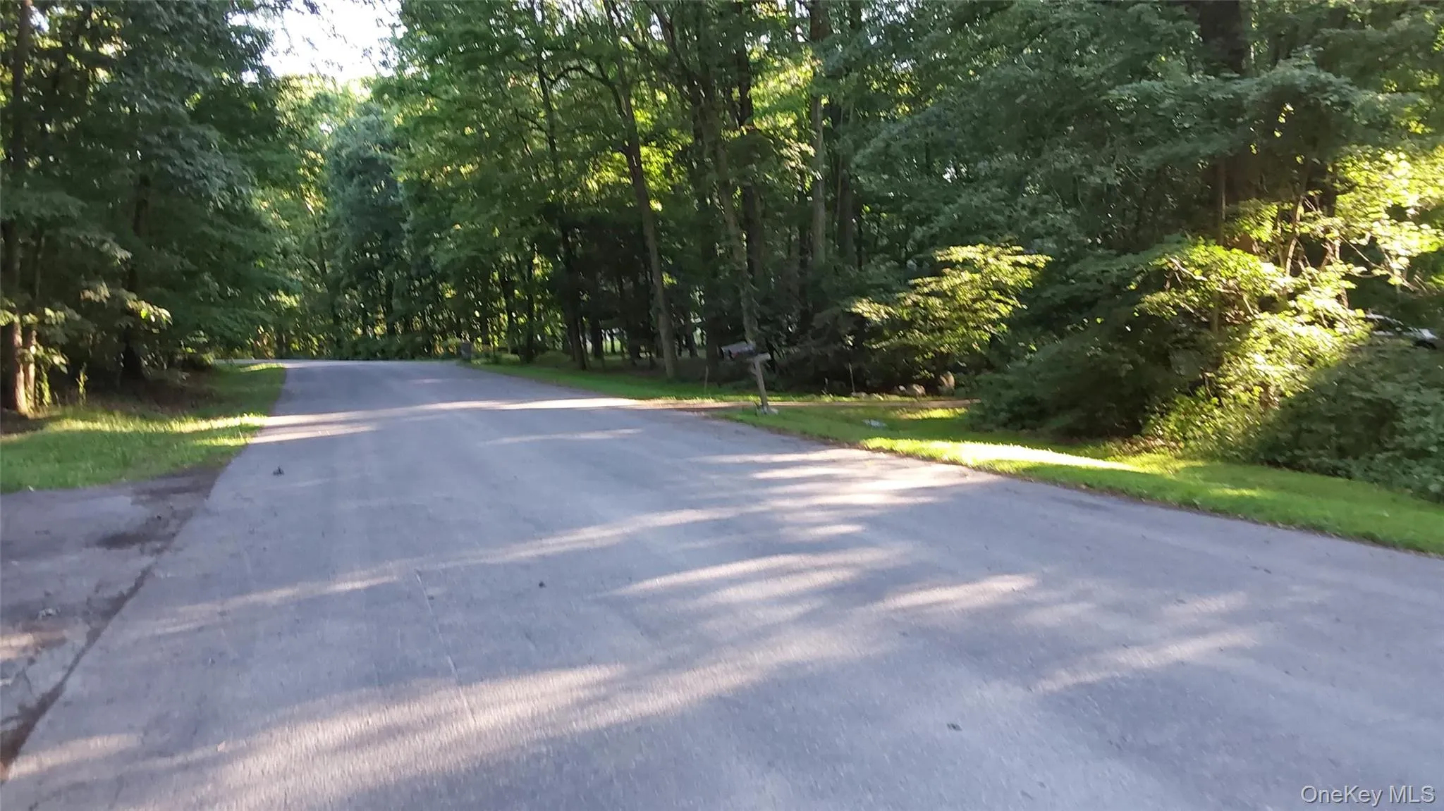 39 Country Pond Lane, Plattekill, NY, 3 Bedrooms Bedrooms, 6 Rooms Rooms,1 BathroomBathrooms,Residential Lease,For Rent,Country Pond,0,1021676 39 Country Pond Lane, Plattekill, NY, 3 Bedrooms Bedrooms, 6 Rooms Rooms,1 BathroomBathrooms,Residential Lease,For Rent,Country Pond,0,1021676