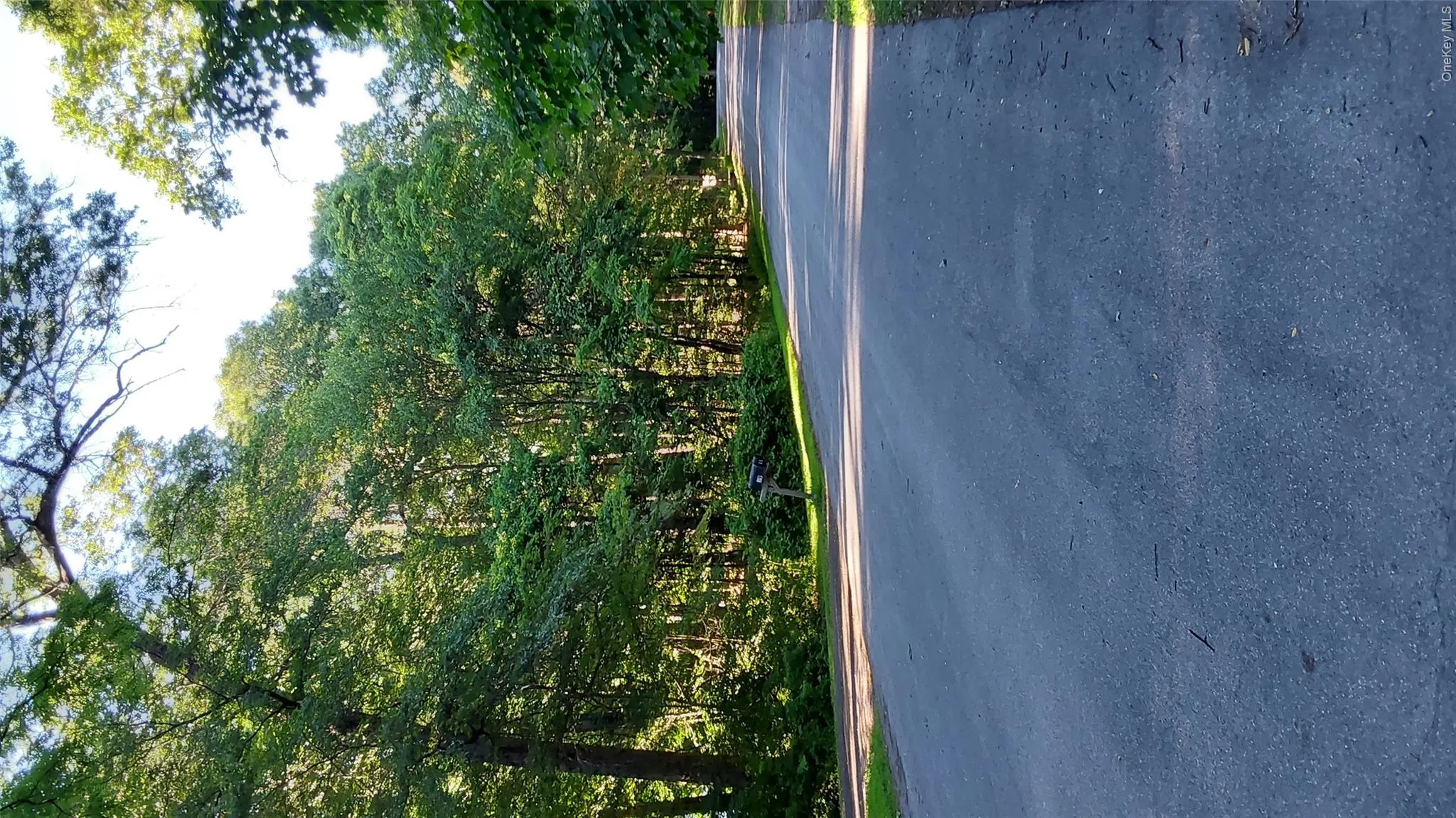 39 Country Pond Lane, Plattekill, NY, 3 Bedrooms Bedrooms, 6 Rooms Rooms,1 BathroomBathrooms,Residential Lease,For Rent,Country Pond,0,1021676 39 Country Pond Lane, Plattekill, NY, 3 Bedrooms Bedrooms, 6 Rooms Rooms,1 BathroomBathrooms,Residential Lease,For Rent,Country Pond,0,1021676