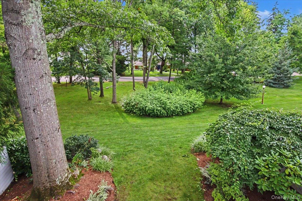 Back of property. Back of property.