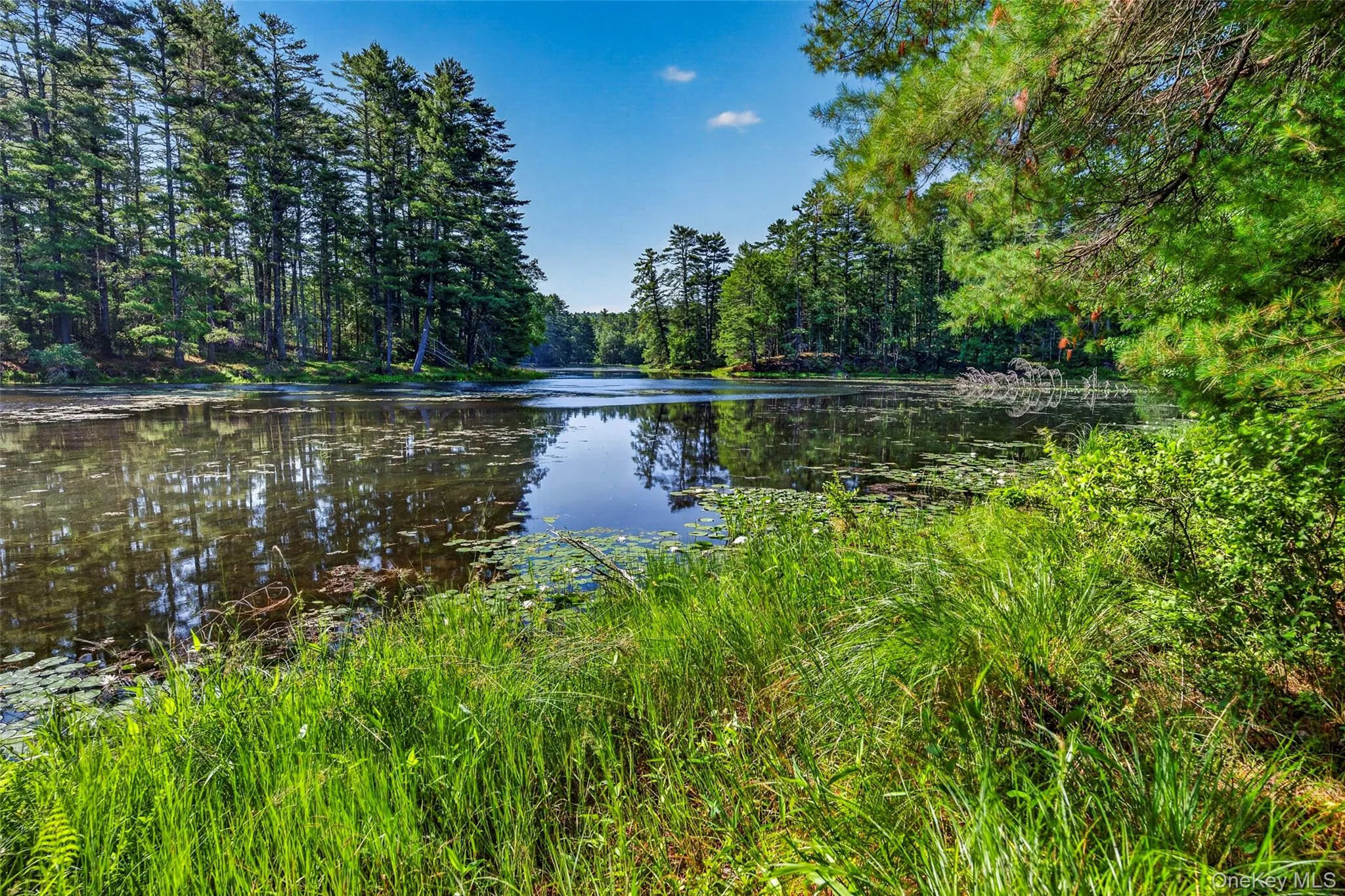 80 Beaver Brook Road, Highland, NY, 2 Bedrooms Bedrooms, 5 Rooms Rooms,1 BathroomBathrooms,Residential,For Rent,Beaver Brook,0,1021713 80 Beaver Brook Road, Highland, NY, 2 Bedrooms Bedrooms, 5 Rooms Rooms,1 BathroomBathrooms,Residential,For Rent,Beaver Brook,0,1021713