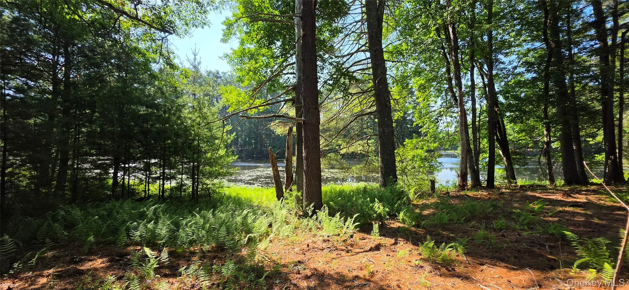 80 Beaver Brook Road, Highland, NY, 2 Bedrooms Bedrooms, 5 Rooms Rooms,1 BathroomBathrooms,Residential,For Rent,Beaver Brook,0,1021713 80 Beaver Brook Road, Highland, NY, 2 Bedrooms Bedrooms, 5 Rooms Rooms,1 BathroomBathrooms,Residential,For Rent,Beaver Brook,0,1021713