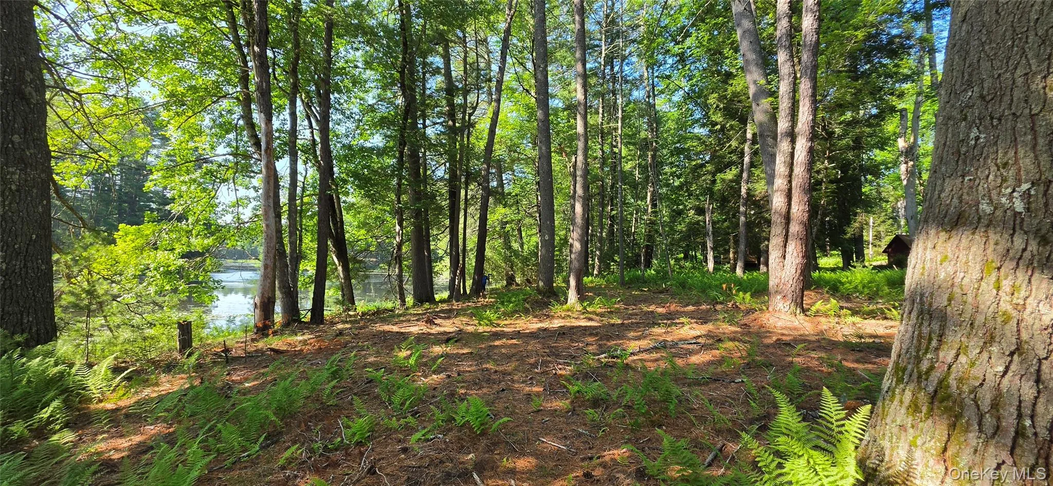 80 Beaver Brook Road, Highland, NY, 2 Bedrooms Bedrooms, 5 Rooms Rooms,1 BathroomBathrooms,Residential,For Rent,Beaver Brook,0,1021713 80 Beaver Brook Road, Highland, NY, 2 Bedrooms Bedrooms, 5 Rooms Rooms,1 BathroomBathrooms,Residential,For Rent,Beaver Brook,0,1021713