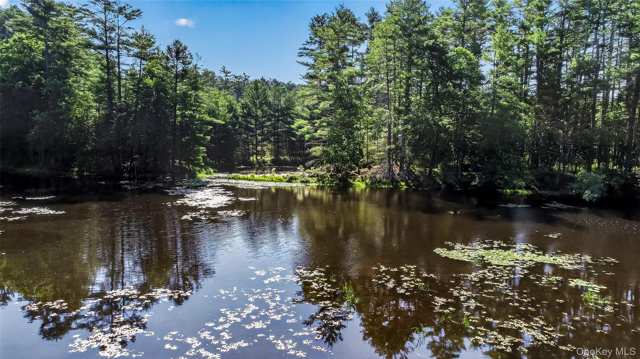 80 Beaver Brook Road, Highland, NY, 2 Bedrooms Bedrooms, 5 Rooms Rooms,1 BathroomBathrooms,Residential,For Rent,Beaver Brook,0,1021713 80 Beaver Brook Road, Highland, NY, 2 Bedrooms Bedrooms, 5 Rooms Rooms,1 BathroomBathrooms,Residential,For Rent,Beaver Brook,0,1021713