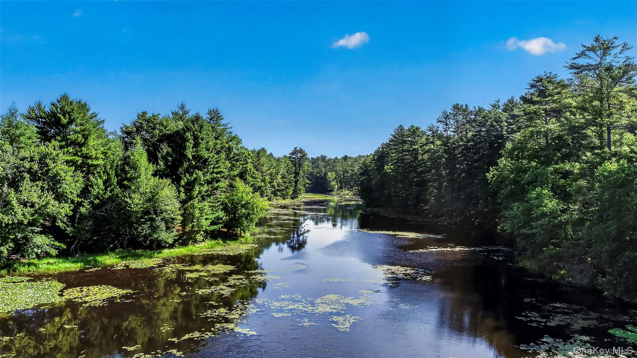 80 Beaver Brook Road, Highland, NY, 2 Bedrooms Bedrooms, 5 Rooms Rooms,1 BathroomBathrooms,Residential,For Rent,Beaver Brook,0,1021713 80 Beaver Brook Road, Highland, NY, 2 Bedrooms Bedrooms, 5 Rooms Rooms,1 BathroomBathrooms,Residential,For Rent,Beaver Brook,0,1021713