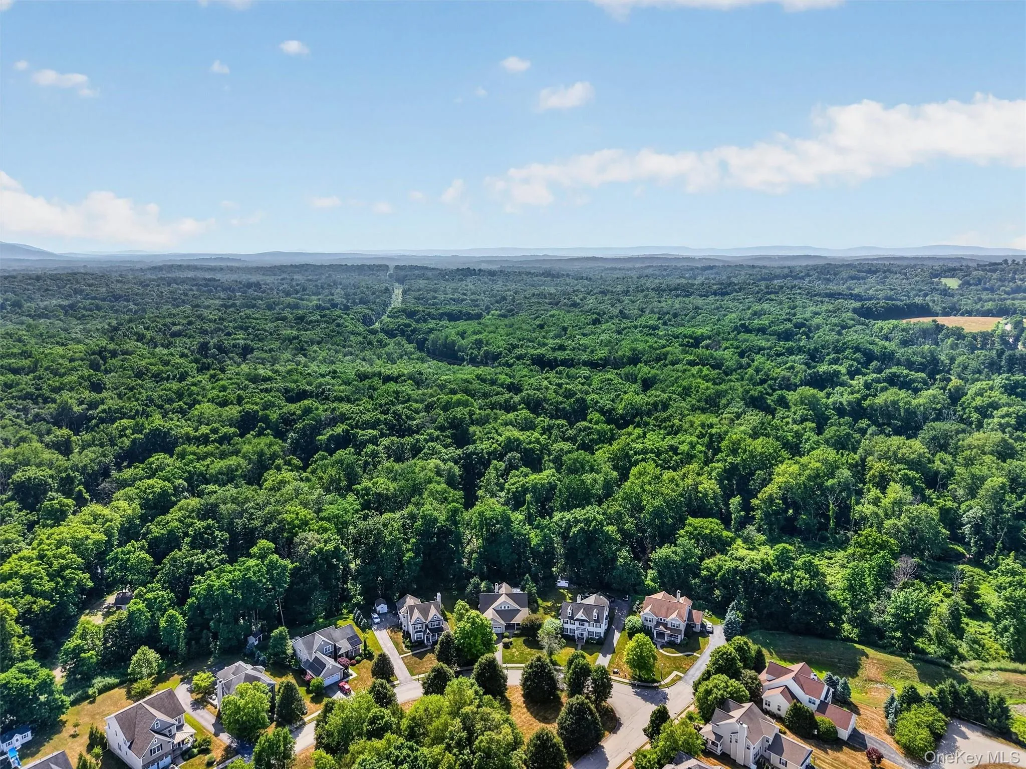 18 Sassafras Circle, East Fishkill, NY, 3 Bedrooms Bedrooms, 10 Rooms Rooms,3 BathroomsBathrooms,Residential,For Rent,Sassafras,0,1021747 18 Sassafras Circle, East Fishkill, NY, 3 Bedrooms Bedrooms, 10 Rooms Rooms,3 BathroomsBathrooms,Residential,For Rent,Sassafras,0,1021747