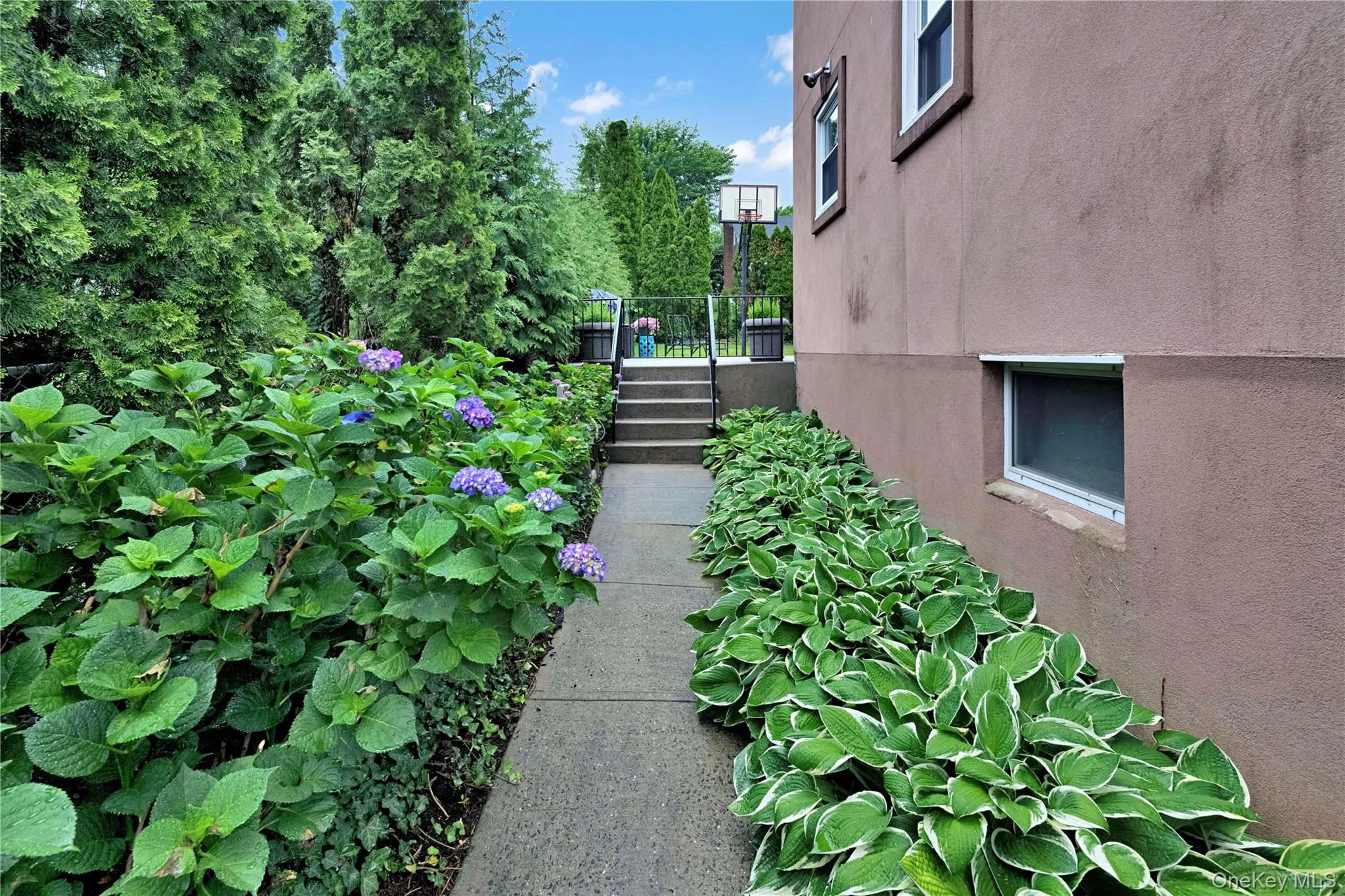 Side walkway to backyard. Side walkway to backyard.