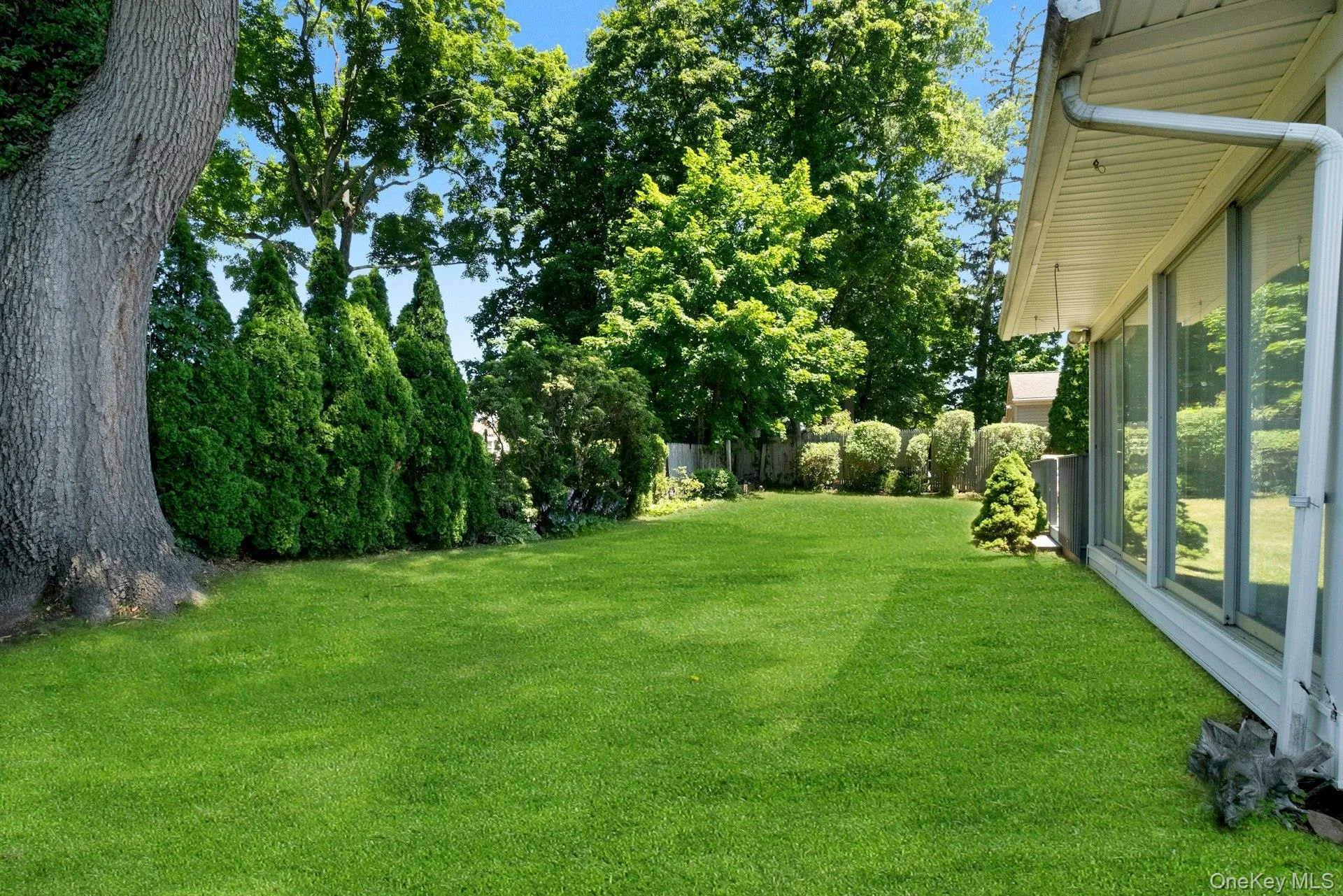 82 Holbrooke Road, White Plains, NY, 3 Bedrooms Bedrooms, 7 Rooms Rooms,2 BathroomsBathrooms,Residential,For Rent,Holbrooke,0,1021799 82 Holbrooke Road, White Plains, NY, 3 Bedrooms Bedrooms, 7 Rooms Rooms,2 BathroomsBathrooms,Residential,For Rent,Holbrooke,0,1021799