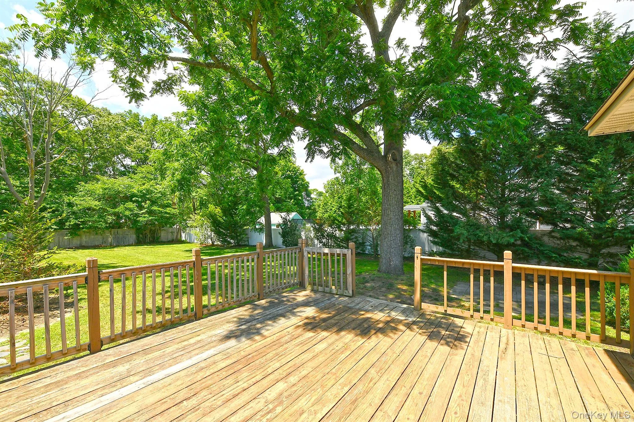 View from Eating area of Deck into yard (over one third of an acre). View from Eating area of Deck into yard (over one third of an acre).