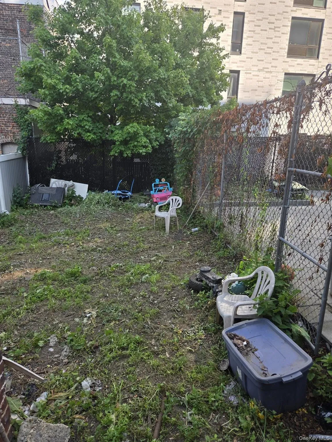 2182 Bathgate Avenue, New York, NY, 3 Bedrooms Bedrooms, 6 Rooms Rooms,1 BathroomBathrooms,Residential,For Rent,Bathgate,0,1021826 2182 Bathgate Avenue, New York, NY, 3 Bedrooms Bedrooms, 6 Rooms Rooms,1 BathroomBathrooms,Residential,For Rent,Bathgate,0,1021826
