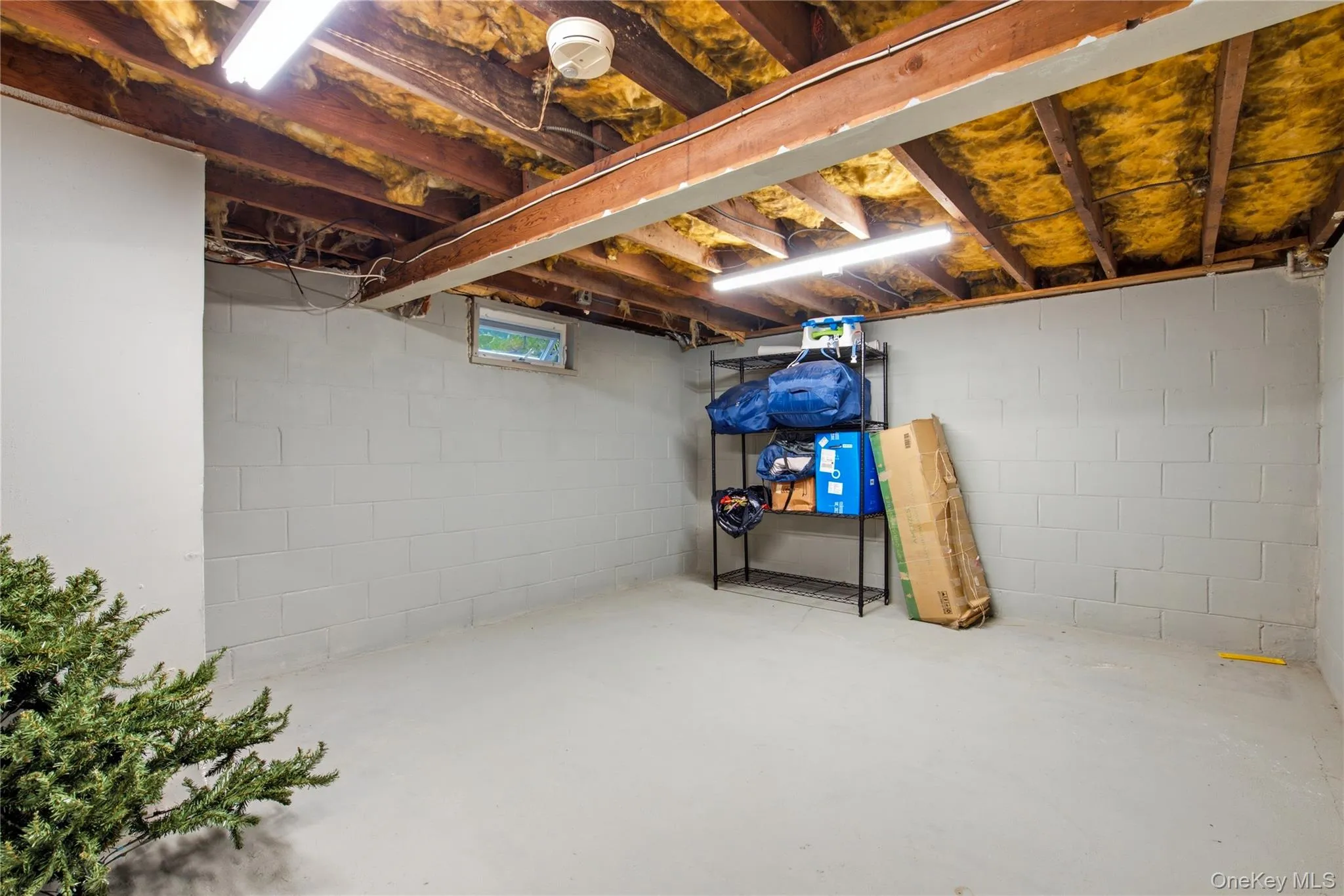 3 Parkside Avenue, Brookhaven, NY, 3 Bedrooms Bedrooms, 7 Rooms Rooms,2 BathroomsBathrooms,Residential,For Rent,Parkside,0,1021831 3 Parkside Avenue, Brookhaven, NY, 3 Bedrooms Bedrooms, 7 Rooms Rooms,2 BathroomsBathrooms,Residential,For Rent,Parkside,0,1021831