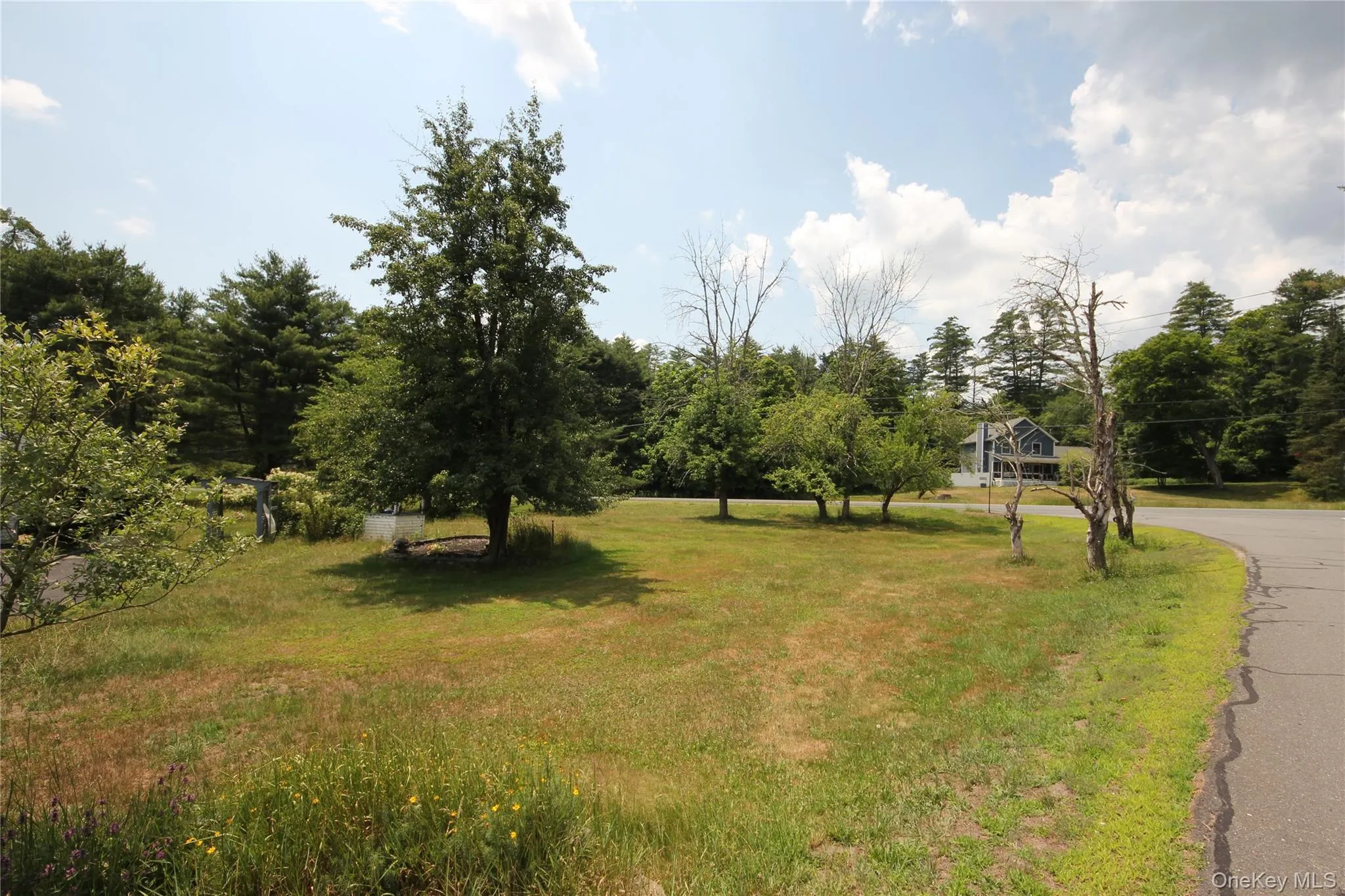 Expansive grassy lot with mature trees, paved road frontage, and a partially visible residential structure in the background Expansive grassy lot with mature trees, paved road frontage, and a partially visible residential structure in the background
