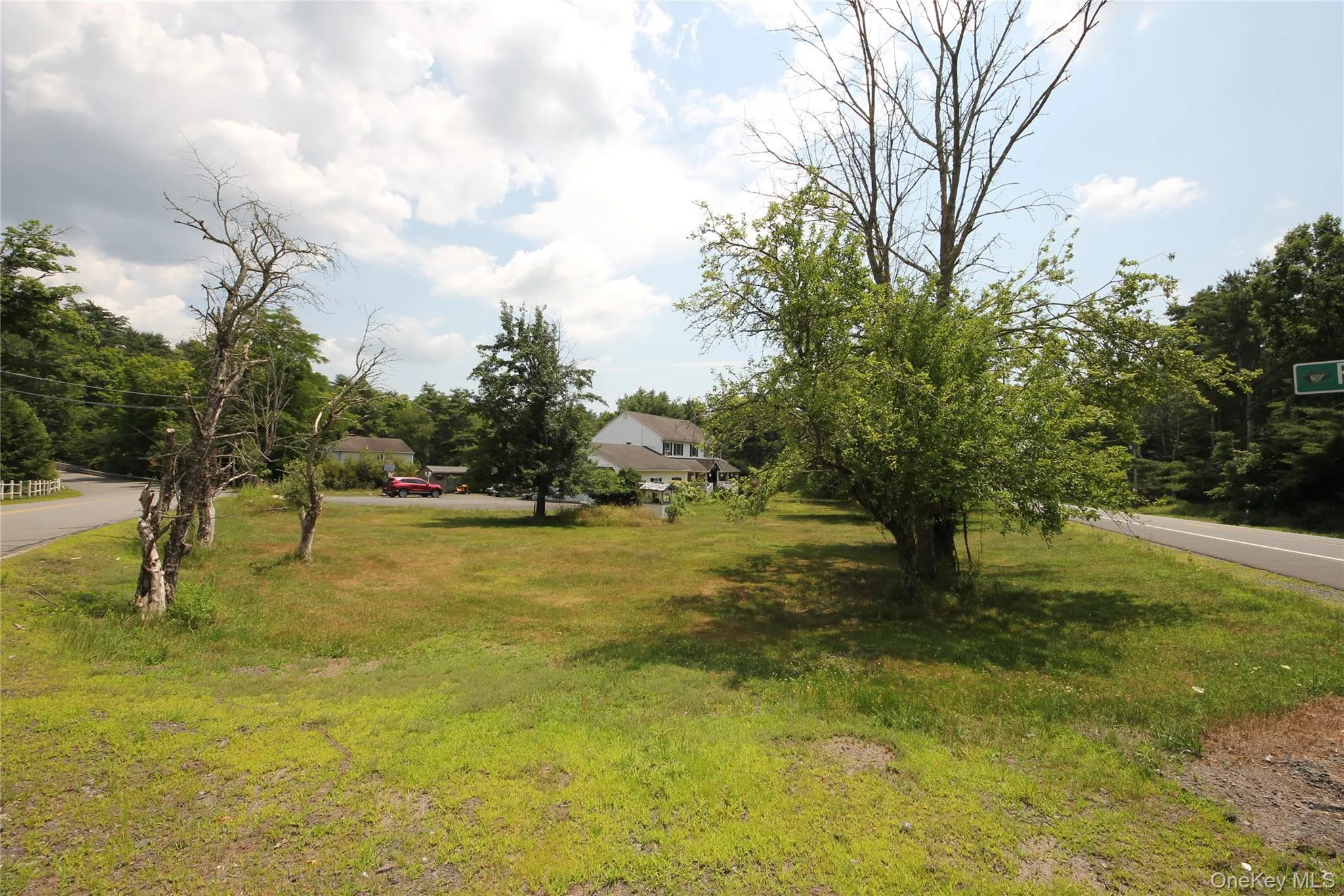 Expansive grassy lot with mature trees and direct road frontage Expansive grassy lot with mature trees and direct road frontage