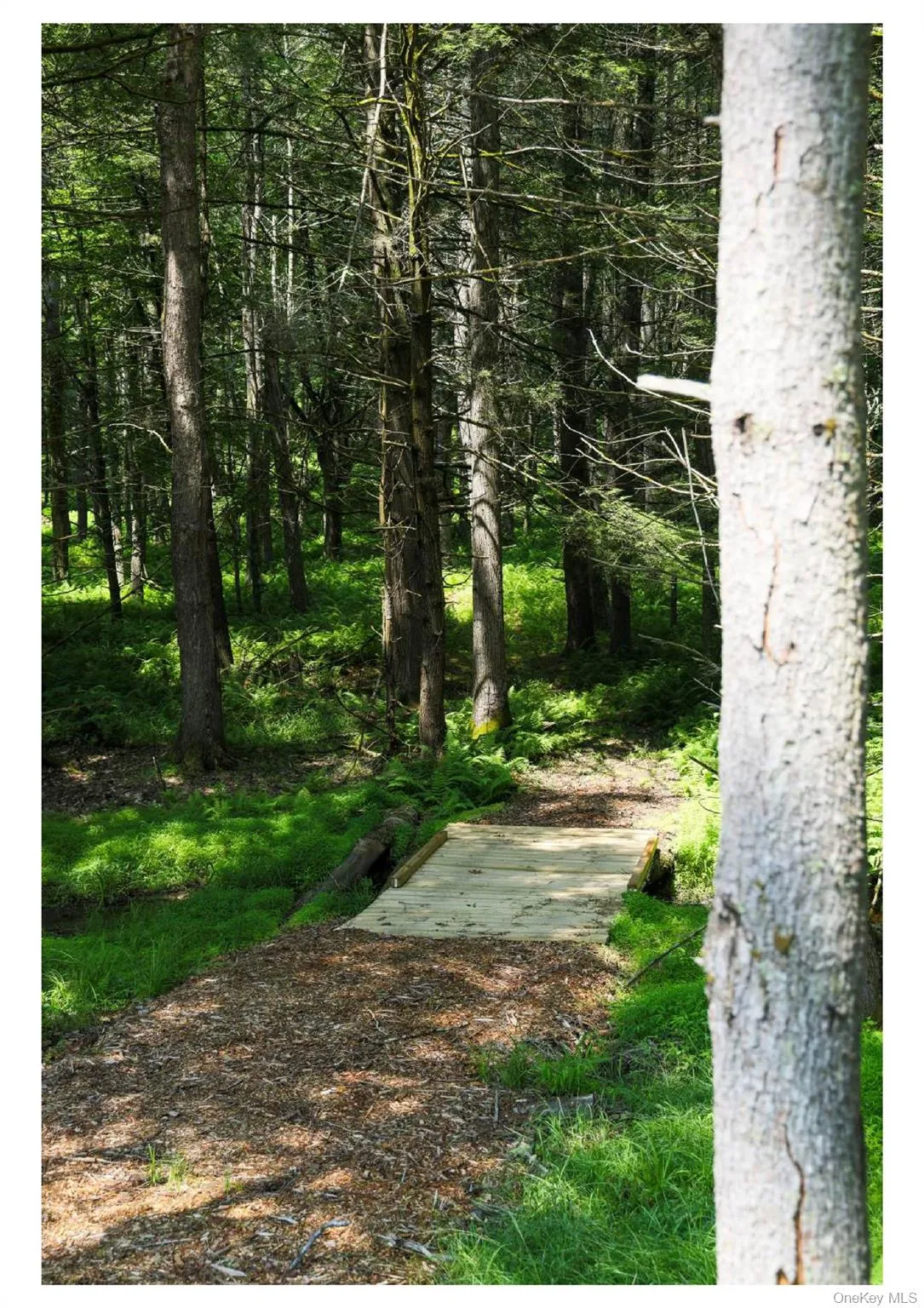 301 Reyer Road, Tusten, NY, 4 Bedrooms Bedrooms, 13 Rooms Rooms,3 BathroomsBathrooms,Residential,For Rent,Reyer,0,1021858 301 Reyer Road, Tusten, NY, 4 Bedrooms Bedrooms, 13 Rooms Rooms,3 BathroomsBathrooms,Residential,For Rent,Reyer,0,1021858