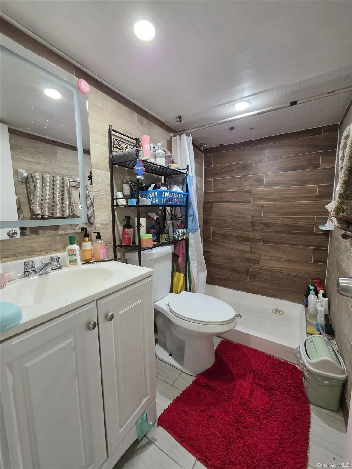 Basement Bathroom Basement Bathroom
