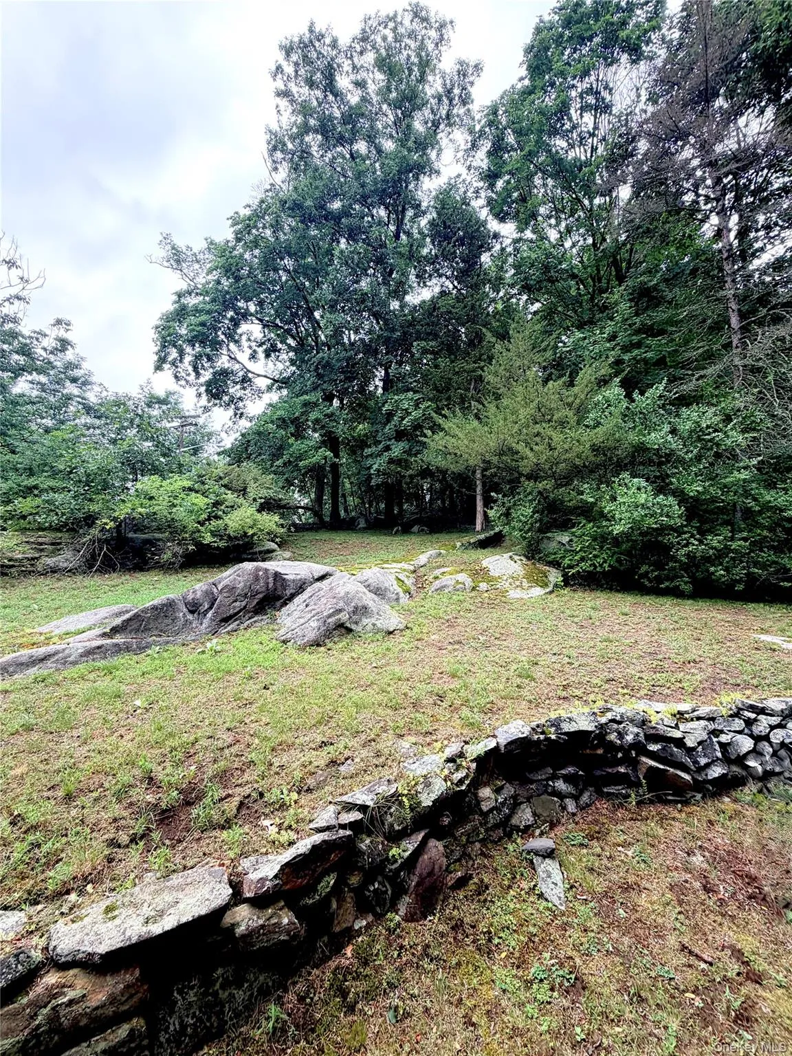 Large tiered yard surrounded by mature specimens Large tiered yard surrounded by mature specimens