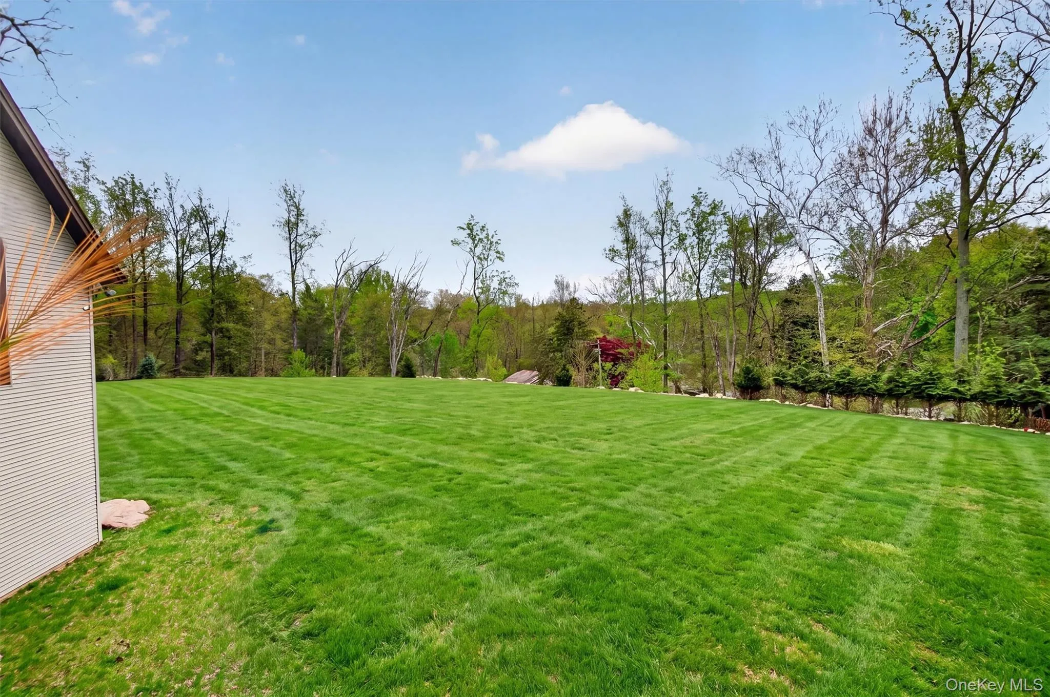 Almost 2 acres of usable land Almost 2 acres of usable land