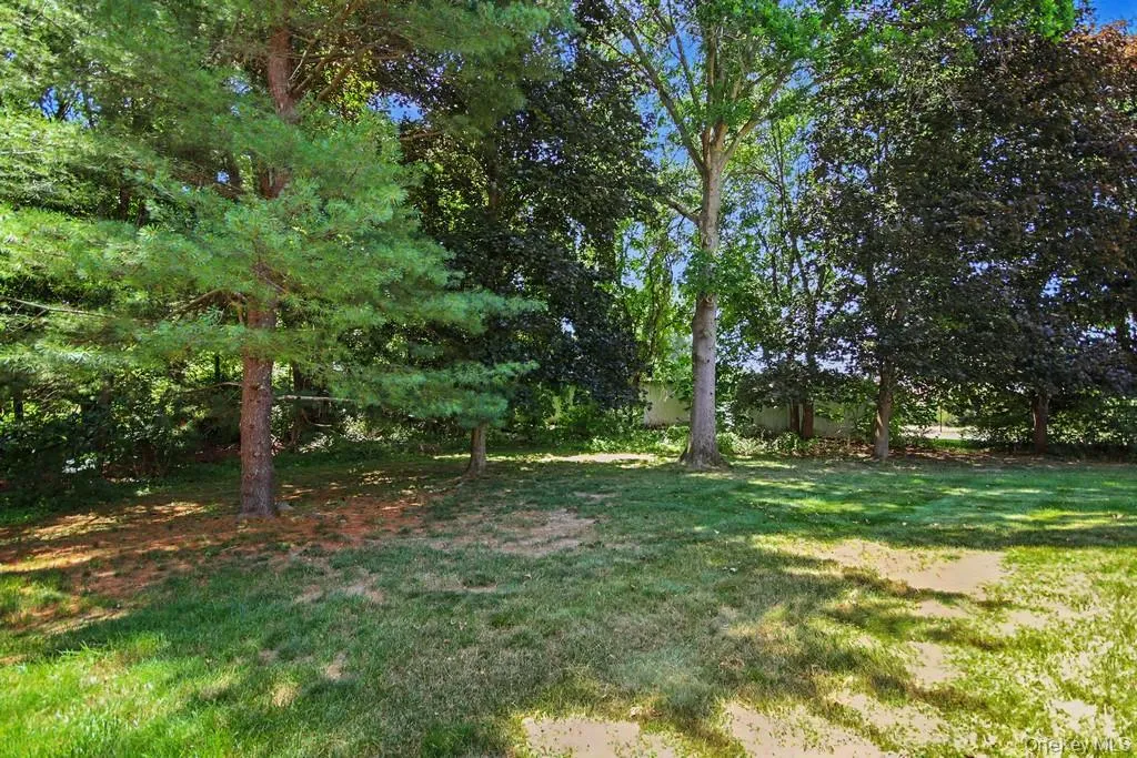 101 Elmcrest Drive, Fishkill, NY, 1 Bedroom Bedrooms, 6 Rooms Rooms,1 BathroomBathrooms,Residential,For Rent,Elmcrest,0,1021918 101 Elmcrest Drive, Fishkill, NY, 1 Bedroom Bedrooms, 6 Rooms Rooms,1 BathroomBathrooms,Residential,For Rent,Elmcrest,0,1021918