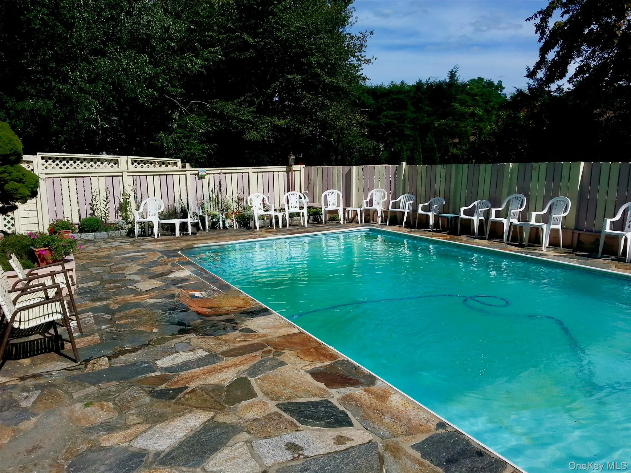 30 Dalewood Drive, Greenburgh, NY, 4 Bedrooms Bedrooms, 11 Rooms Rooms,2 BathroomsBathrooms,Residential,For Rent,Dalewood,0,1021929 30 Dalewood Drive, Greenburgh, NY, 4 Bedrooms Bedrooms, 11 Rooms Rooms,2 BathroomsBathrooms,Residential,For Rent,Dalewood,0,1021929