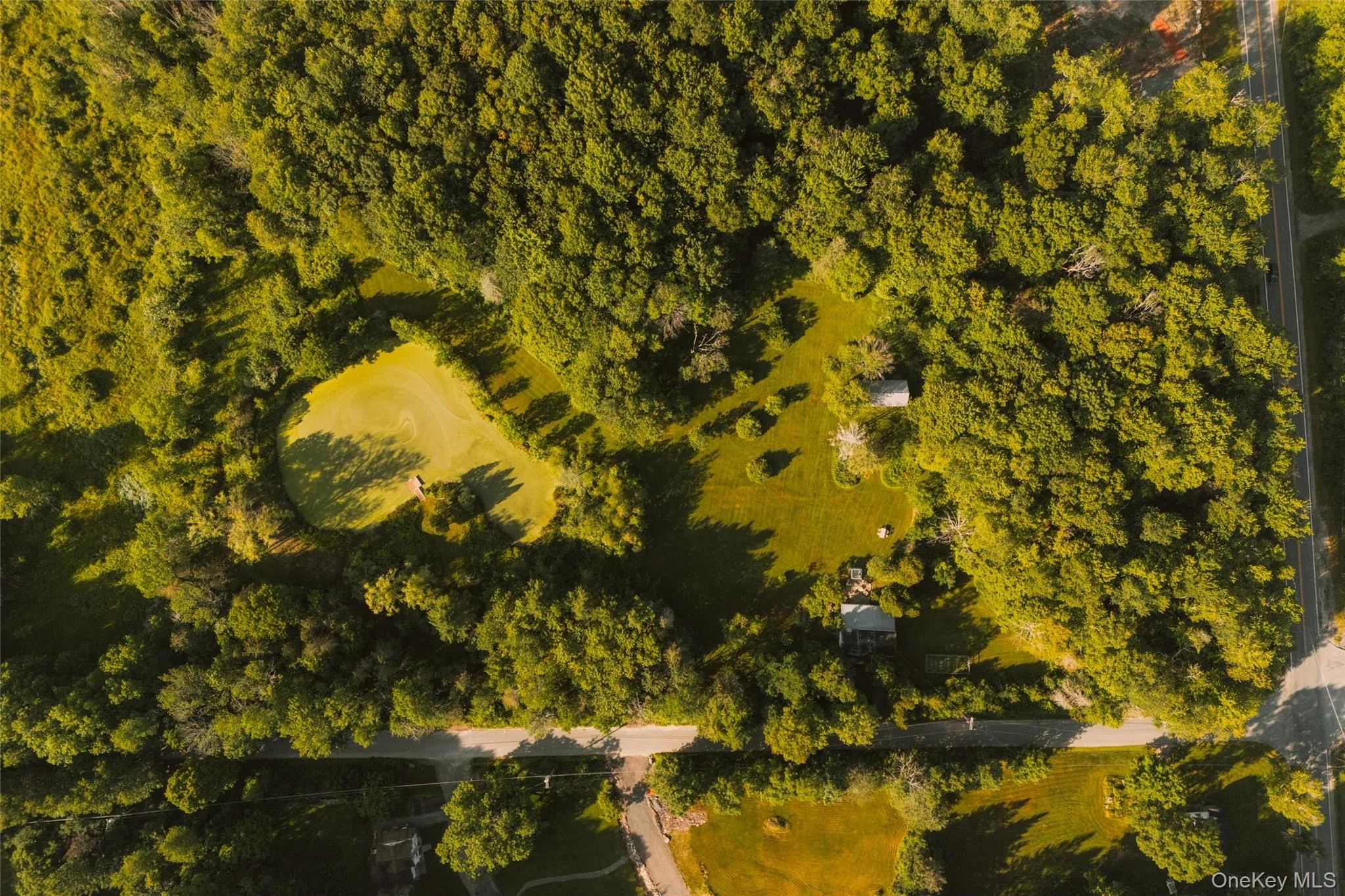 10 Elk Point Road, Liberty, NY, 3 Bedrooms Bedrooms, 9 Rooms Rooms,2 BathroomsBathrooms,Residential,For Rent,Elk Point,0,1021936 10 Elk Point Road, Liberty, NY, 3 Bedrooms Bedrooms, 9 Rooms Rooms,2 BathroomsBathrooms,Residential,For Rent,Elk Point,0,1021936