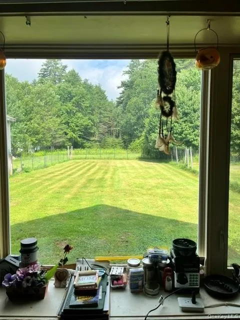 Back Yard Back Yard