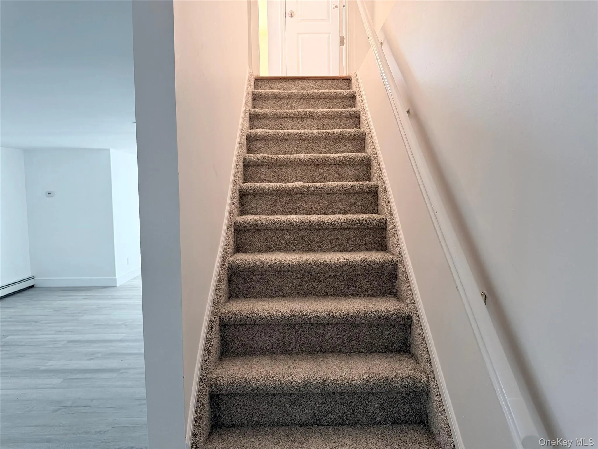 Basement Steps Basement Steps
