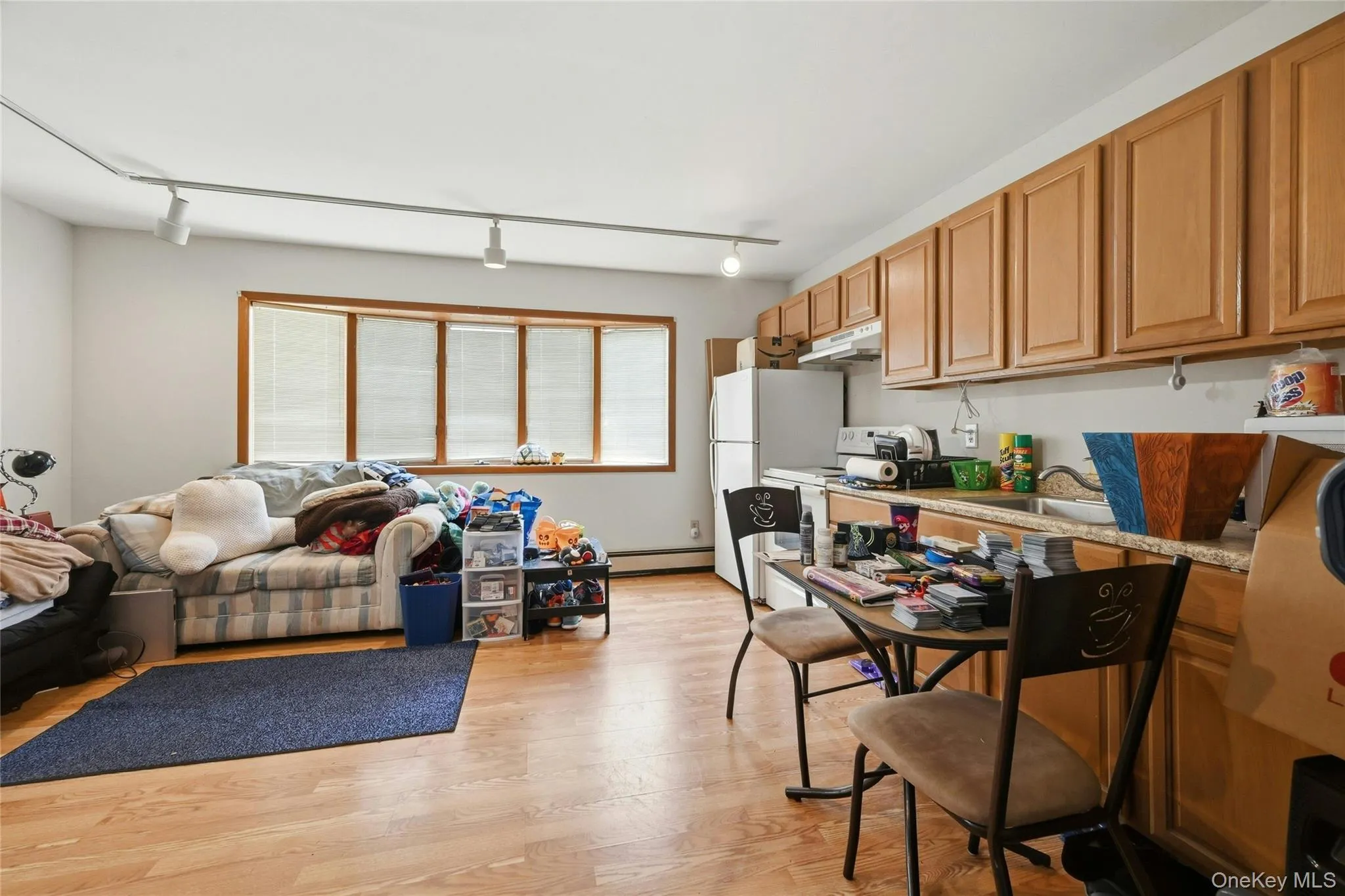 Large Bonus Room with Summer Kitchen Large Bonus Room with Summer Kitchen