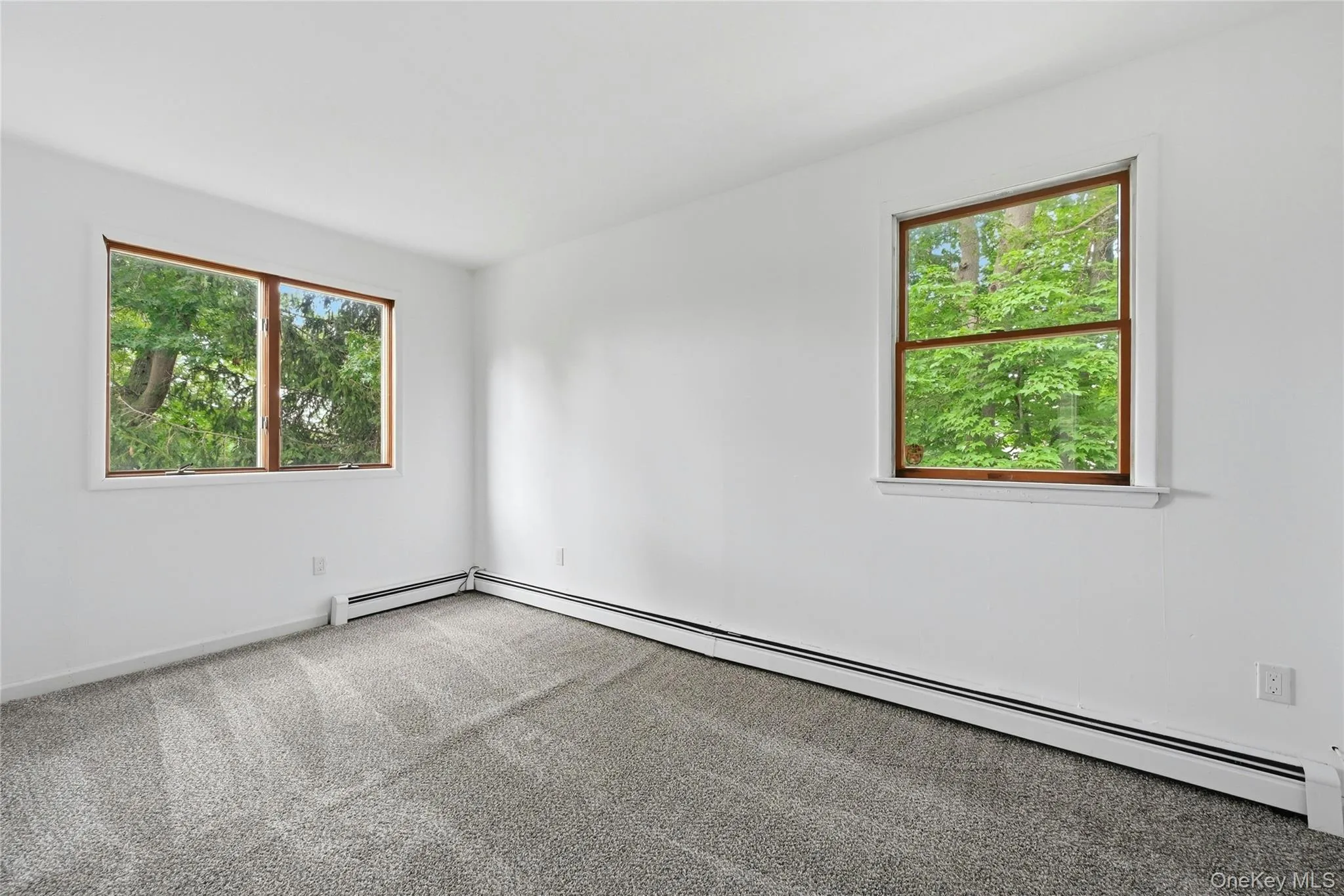 With new carpet With new carpet