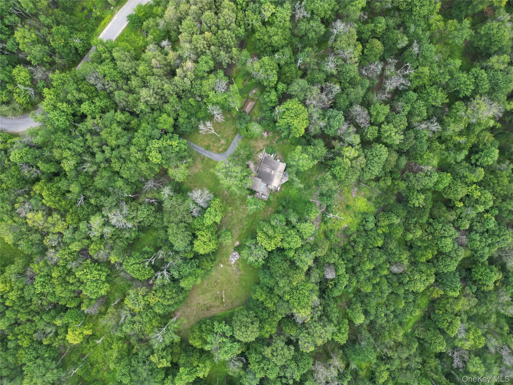 280 Elk Point Road, Liberty, NY, 2 Bedrooms Bedrooms, 8 Rooms Rooms,2 BathroomsBathrooms,Residential,For Rent,Elk Point,0,1022062 280 Elk Point Road, Liberty, NY, 2 Bedrooms Bedrooms, 8 Rooms Rooms,2 BathroomsBathrooms,Residential,For Rent,Elk Point,0,1022062