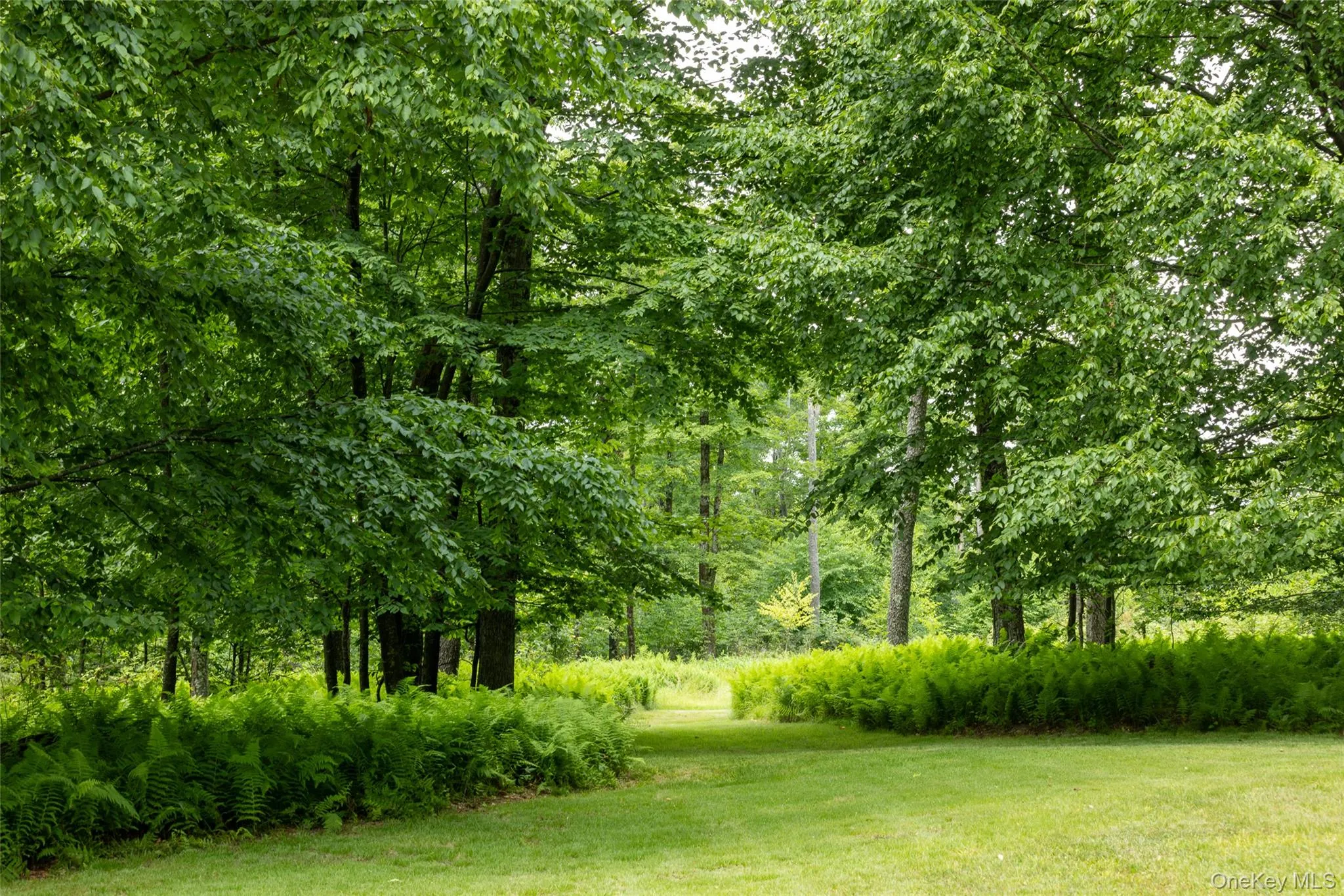 280 Elk Point Road, Liberty, NY, 2 Bedrooms Bedrooms, 8 Rooms Rooms,2 BathroomsBathrooms,Residential,For Rent,Elk Point,0,1022062 280 Elk Point Road, Liberty, NY, 2 Bedrooms Bedrooms, 8 Rooms Rooms,2 BathroomsBathrooms,Residential,For Rent,Elk Point,0,1022062
