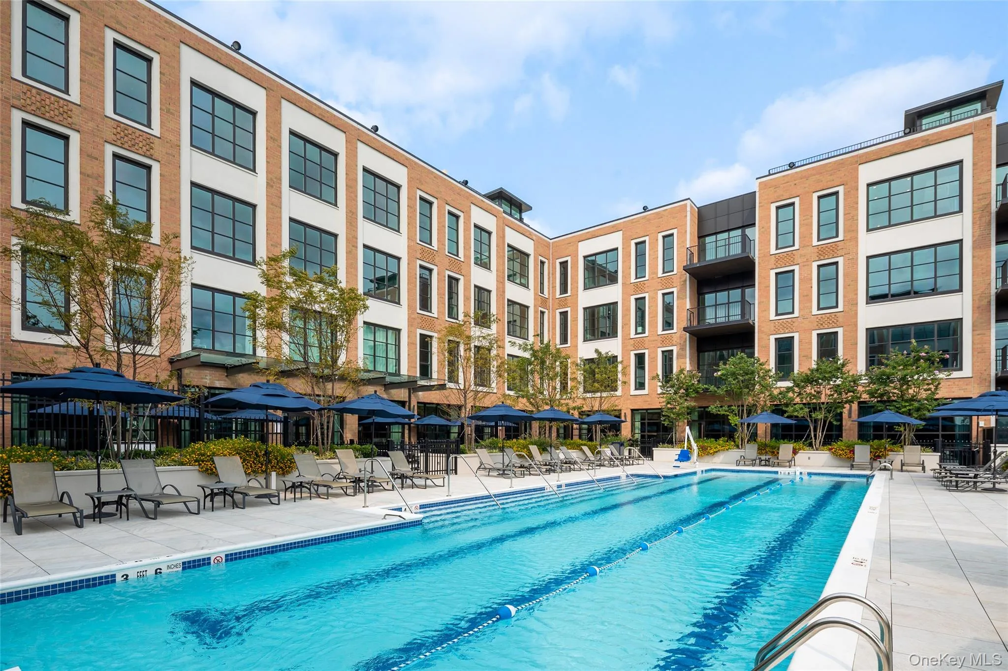 100 Garvies Point Road, Oyster Bay, NY, 1 Bedroom Bedrooms, 3 Rooms Rooms,1 BathroomBathrooms,Residential,For Rent,Garvies Point,0,1022131 100 Garvies Point Road, Oyster Bay, NY, 1 Bedroom Bedrooms, 3 Rooms Rooms,1 BathroomBathrooms,Residential,For Rent,Garvies Point,0,1022131