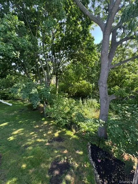 49A Madison Street, Brookhaven, NY, 1 Bedroom Bedrooms, 3 Rooms Rooms,1 BathroomBathrooms,Residential Lease,For Rent,Madison,0,1022136 49A Madison Street, Brookhaven, NY, 1 Bedroom Bedrooms, 3 Rooms Rooms,1 BathroomBathrooms,Residential Lease,For Rent,Madison,0,1022136