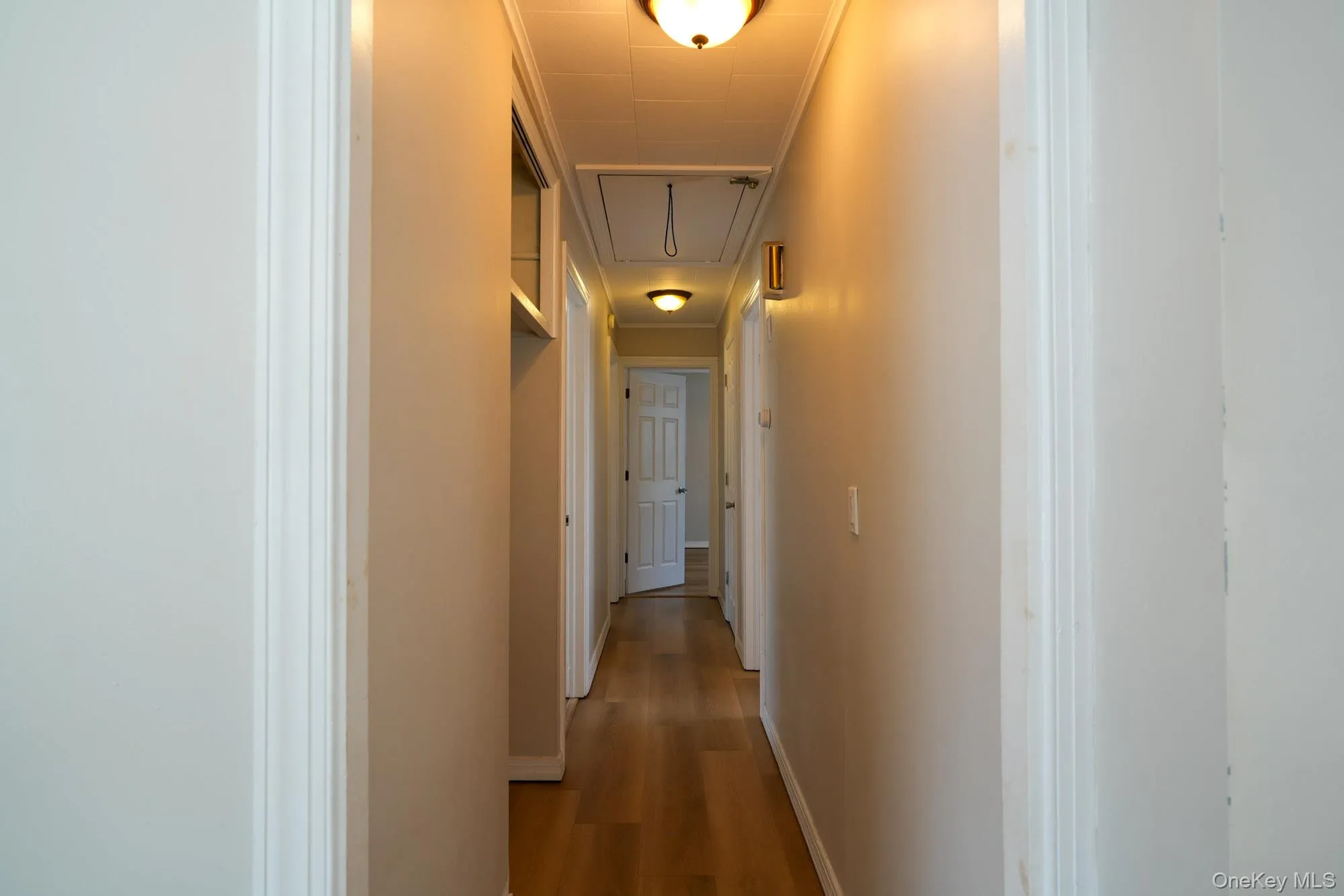 59 Troy Avenue, Hempstead, NY, 3 Bedrooms Bedrooms, 6 Rooms Rooms,2 BathroomsBathrooms,Residential Lease,For Rent,Troy,0,1022154 59 Troy Avenue, Hempstead, NY, 3 Bedrooms Bedrooms, 6 Rooms Rooms,2 BathroomsBathrooms,Residential Lease,For Rent,Troy,0,1022154