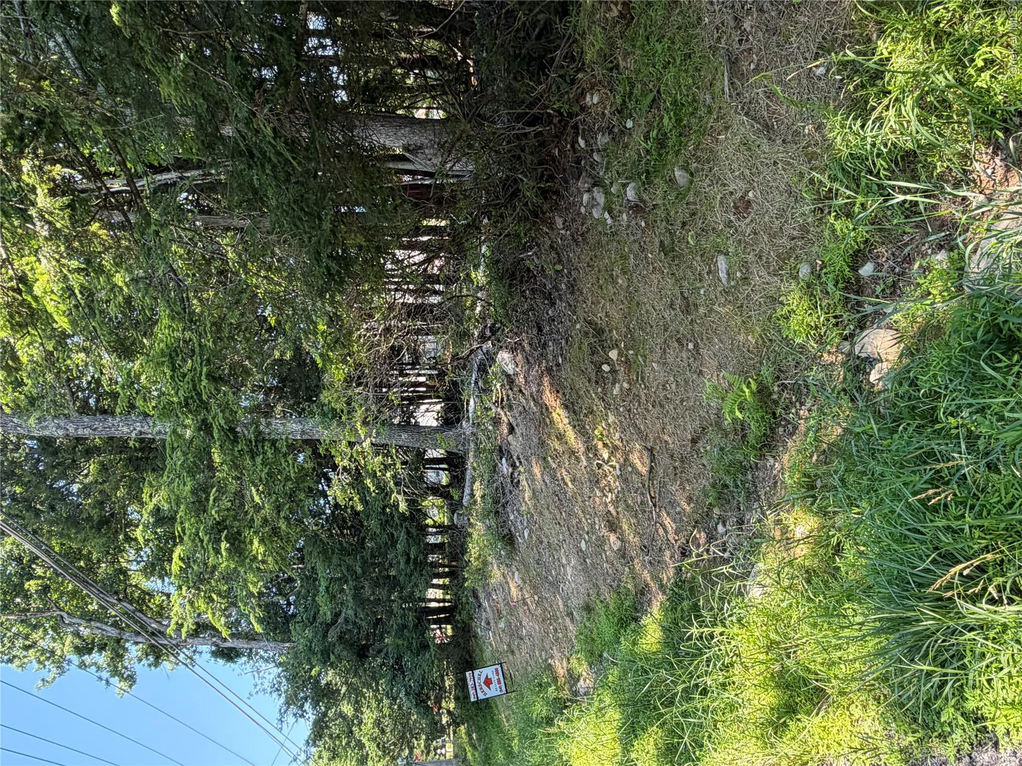 County Route 56, Mamakating, NY, ,Land,For Rent,County Route 56,0,1022170 County Route 56, Mamakating, NY, ,Land,For Rent,County Route 56,0,1022170