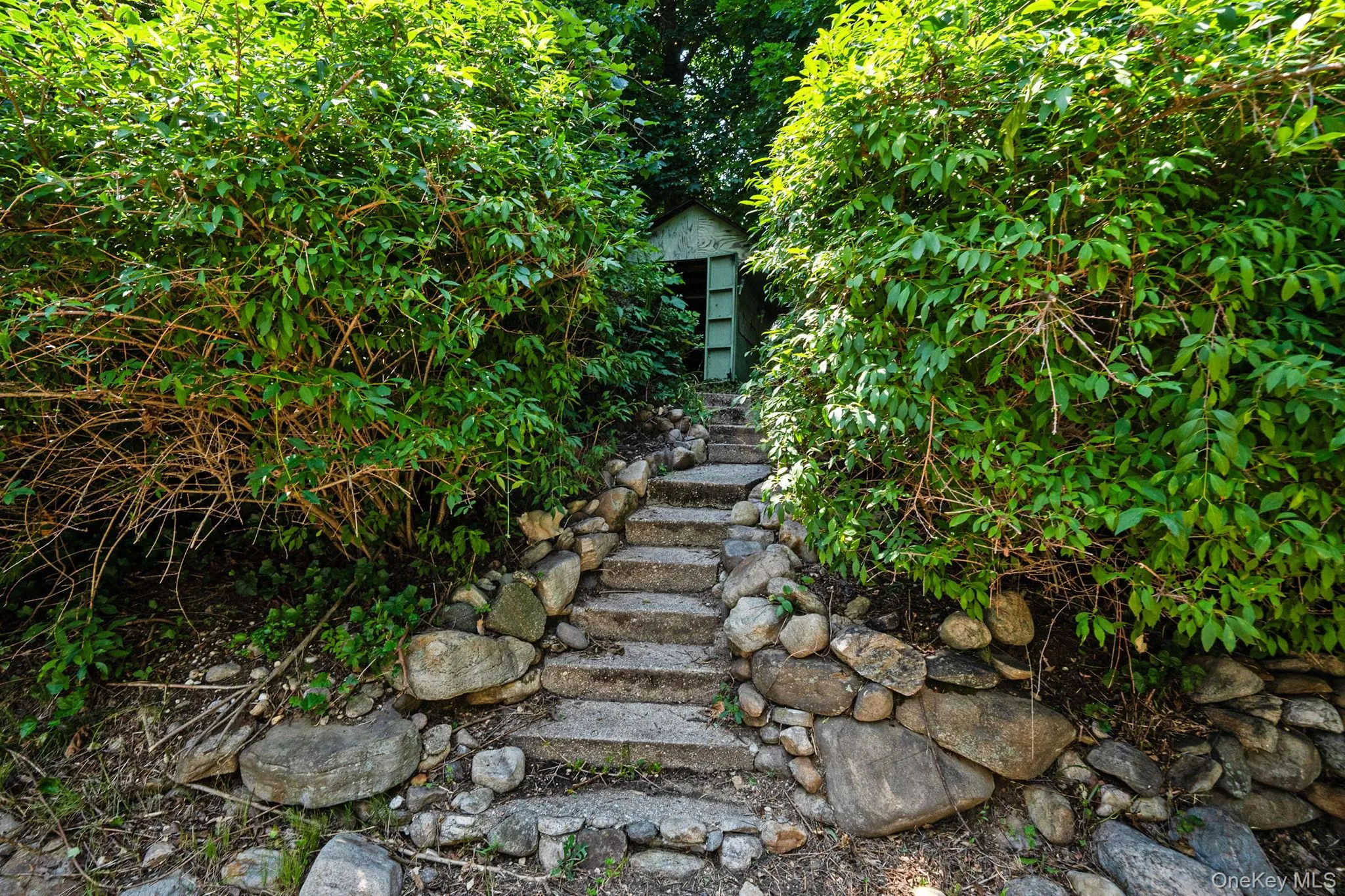 245 Melville Road, Huntington, NY, 4 Bedrooms Bedrooms, 8 Rooms Rooms,2 BathroomsBathrooms,Residential,For Rent,Melville,0,1022184 245 Melville Road, Huntington, NY, 4 Bedrooms Bedrooms, 8 Rooms Rooms,2 BathroomsBathrooms,Residential,For Rent,Melville,0,1022184
