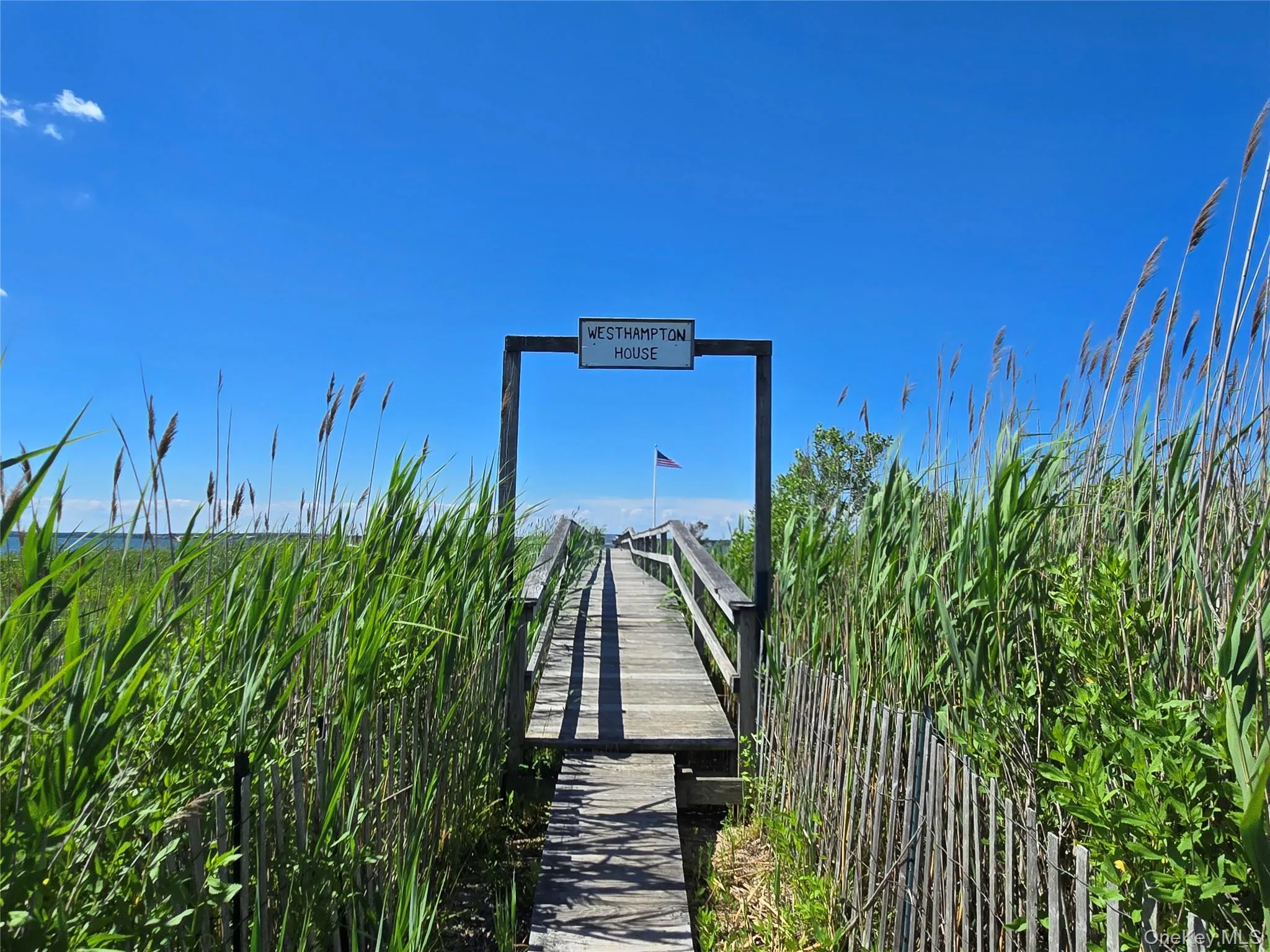 Wooden boardwalk extending over water, flanked by tall green reeds and a rustic wooden fence Wooden boardwalk extending over water, flanked by tall green reeds and a rustic wooden fence