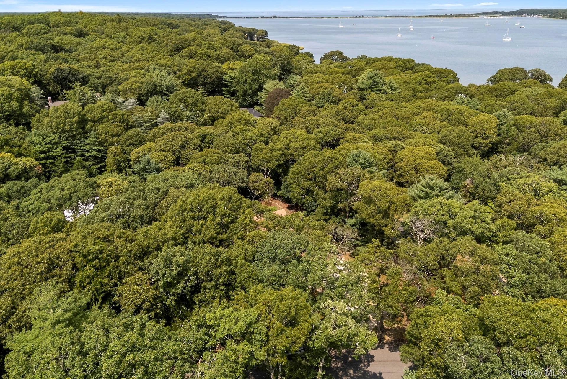 7 Albertines Lane, East Hampton, NY, 3 Bedrooms Bedrooms, 7 Rooms Rooms,2 BathroomsBathrooms,Residential,For Rent,Albertines,0,1022210 7 Albertines Lane, East Hampton, NY, 3 Bedrooms Bedrooms, 7 Rooms Rooms,2 BathroomsBathrooms,Residential,For Rent,Albertines,0,1022210