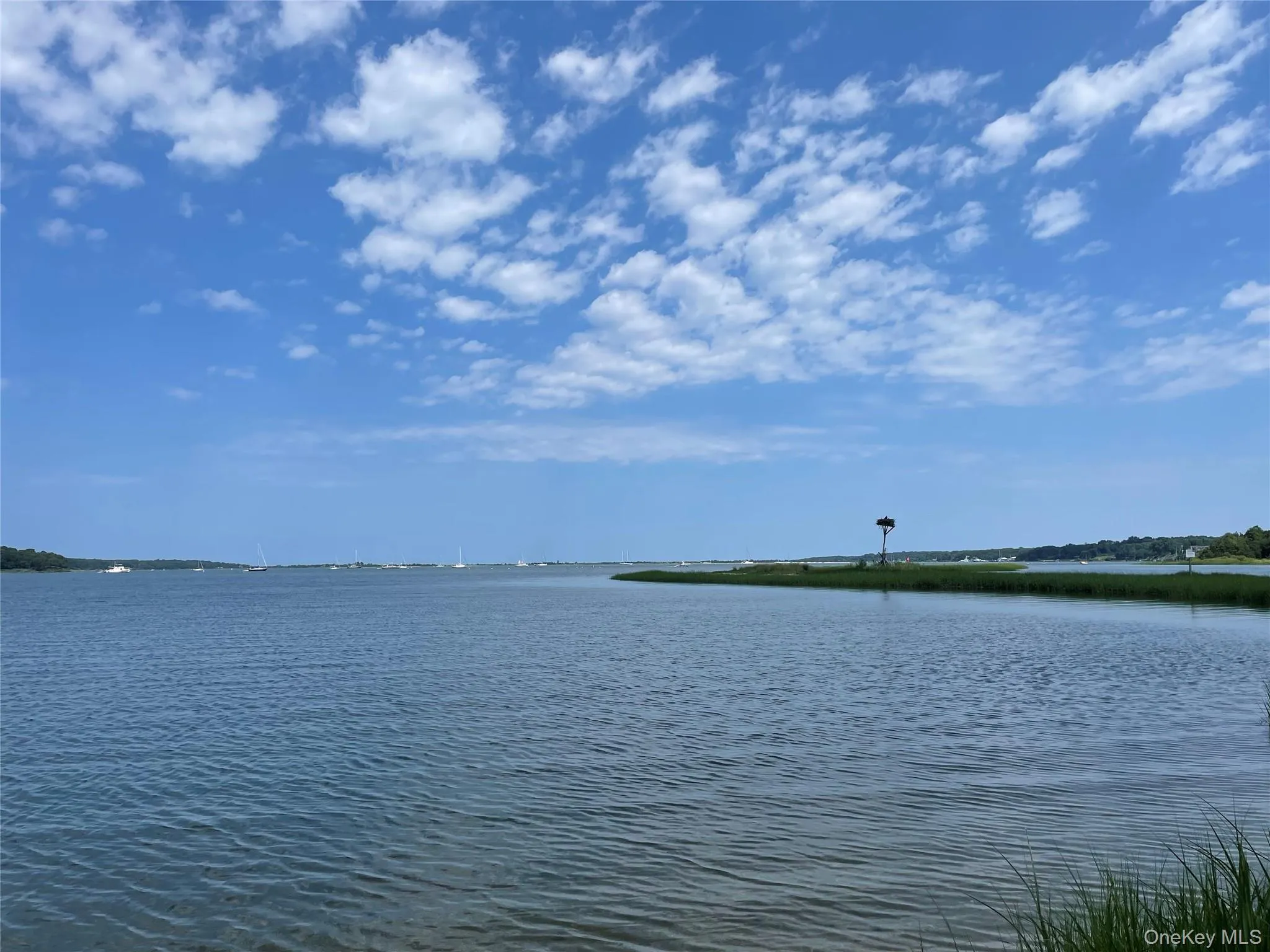 7 Albertines Lane, East Hampton, NY, 3 Bedrooms Bedrooms, 7 Rooms Rooms,2 BathroomsBathrooms,Residential,For Rent,Albertines,0,1022210 7 Albertines Lane, East Hampton, NY, 3 Bedrooms Bedrooms, 7 Rooms Rooms,2 BathroomsBathrooms,Residential,For Rent,Albertines,0,1022210
