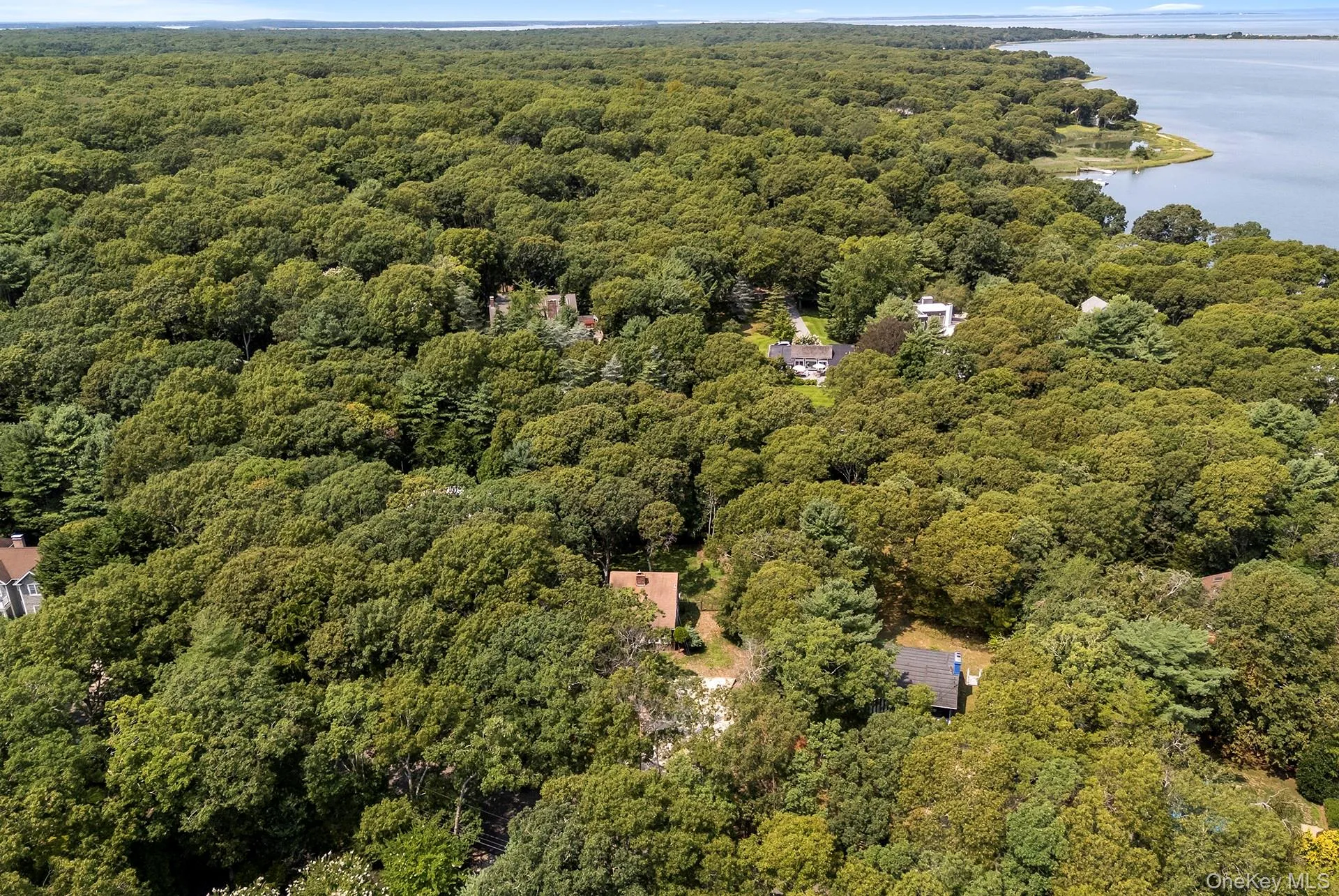 7 Albertines Lane, East Hampton, NY, 3 Bedrooms Bedrooms, 7 Rooms Rooms,2 BathroomsBathrooms,Residential,For Rent,Albertines,0,1022210 7 Albertines Lane, East Hampton, NY, 3 Bedrooms Bedrooms, 7 Rooms Rooms,2 BathroomsBathrooms,Residential,For Rent,Albertines,0,1022210