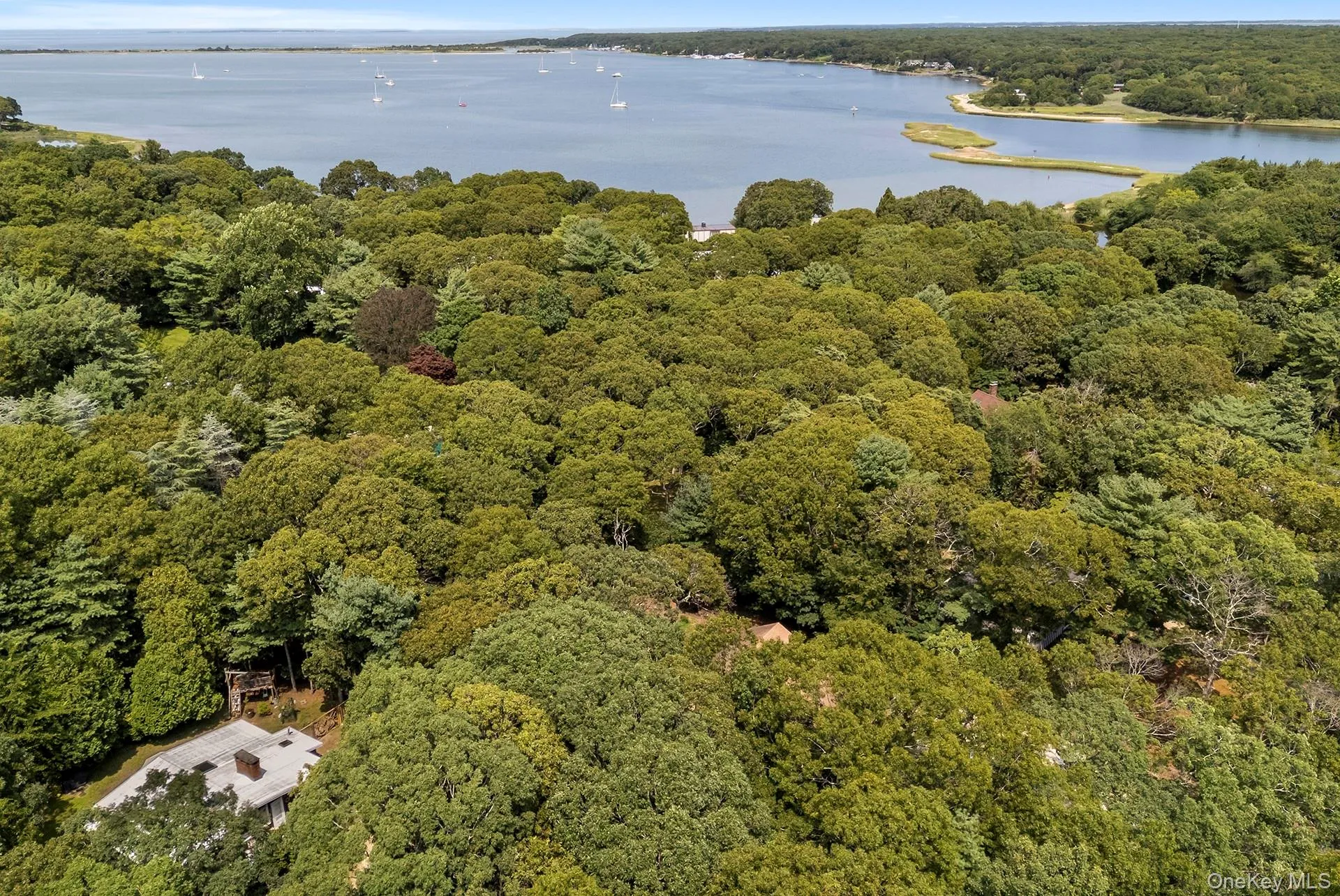 7 Albertines Lane, East Hampton, NY, 3 Bedrooms Bedrooms, 7 Rooms Rooms,2 BathroomsBathrooms,Residential,For Rent,Albertines,0,1022210 7 Albertines Lane, East Hampton, NY, 3 Bedrooms Bedrooms, 7 Rooms Rooms,2 BathroomsBathrooms,Residential,For Rent,Albertines,0,1022210