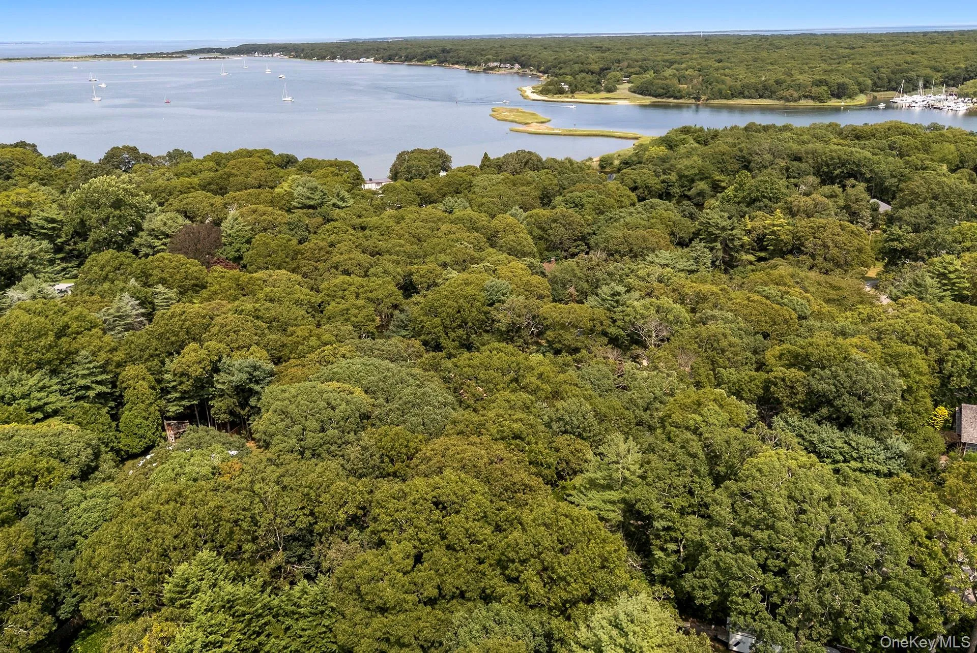 7 Albertines Lane, East Hampton, NY, 3 Bedrooms Bedrooms, 7 Rooms Rooms,2 BathroomsBathrooms,Residential,For Rent,Albertines,0,1022210 7 Albertines Lane, East Hampton, NY, 3 Bedrooms Bedrooms, 7 Rooms Rooms,2 BathroomsBathrooms,Residential,For Rent,Albertines,0,1022210